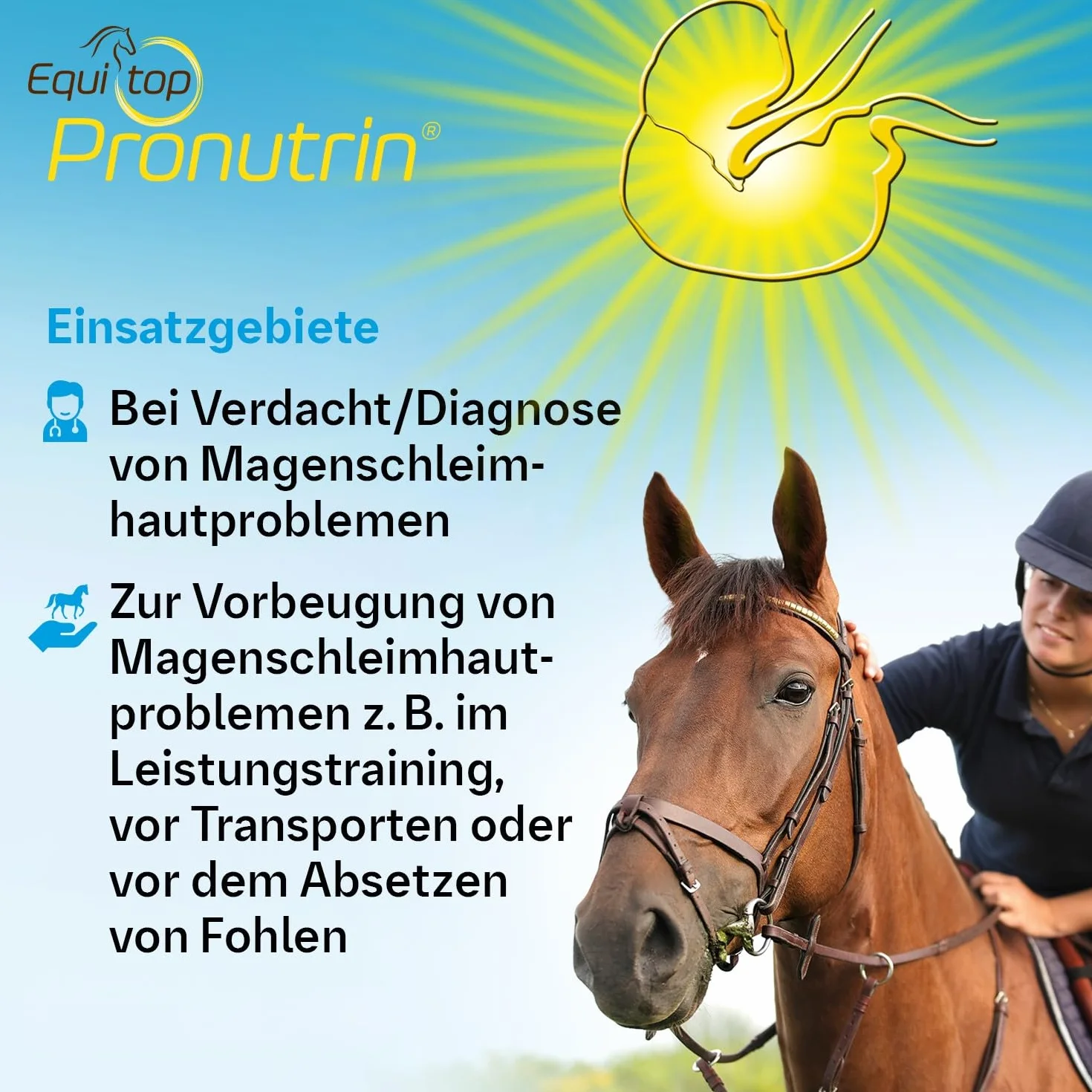 Altro BOEHRINGER INGELHEIM EQUITOP PRONUTRINA 3.5KG