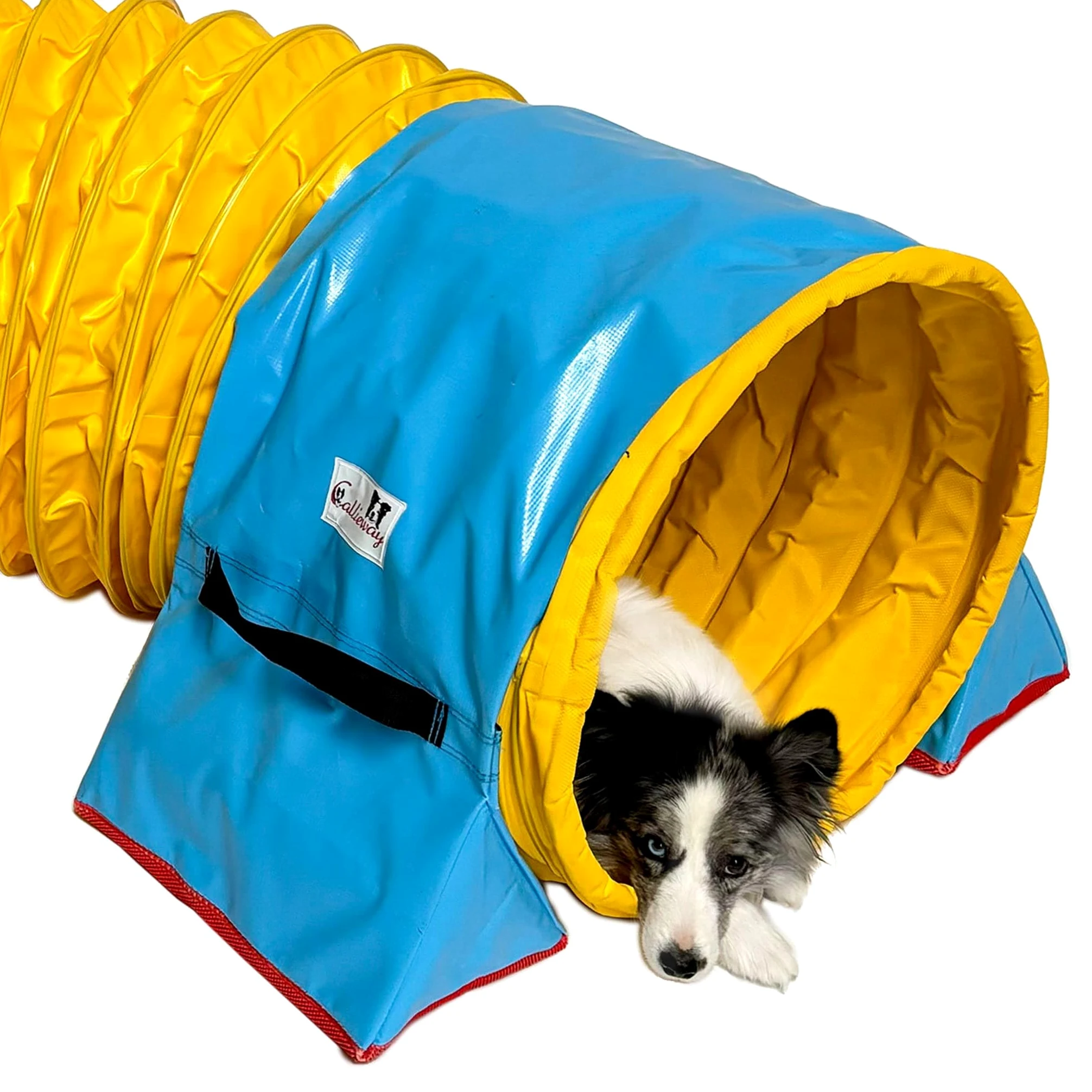 Callieway® 360°Full Grip Tunnel Dog Agility Modello Trophy, 60cmØ, Conforme a FCI (6m, Giallo)