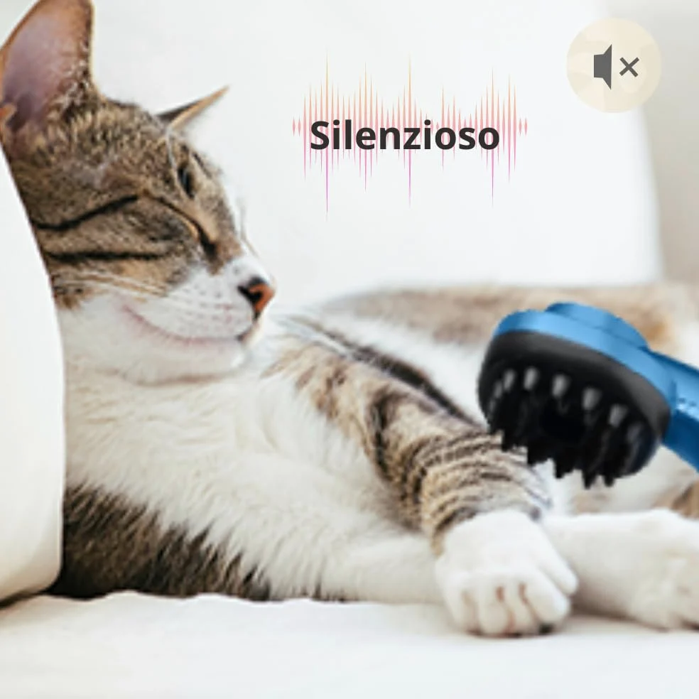 BEHOME Aspirazione e Toelettatura Cani e Gatti, Aspirapolvere Cane e Gatto, Aspiraione Peli Animali e Aspirapelo, Tosatrice professionale 6 accessori, Silenzioso