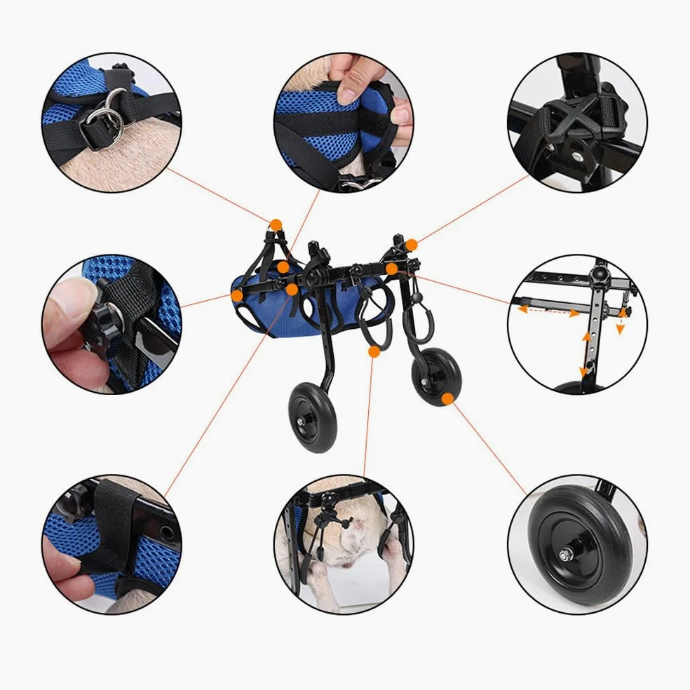 Sedia a rotelle per cani, carrello regolabile per animali domestici per zampe posteriori, tutore per zampe e supporto per fianchi, aiuta i piccoli animali domestici con arti posteriori