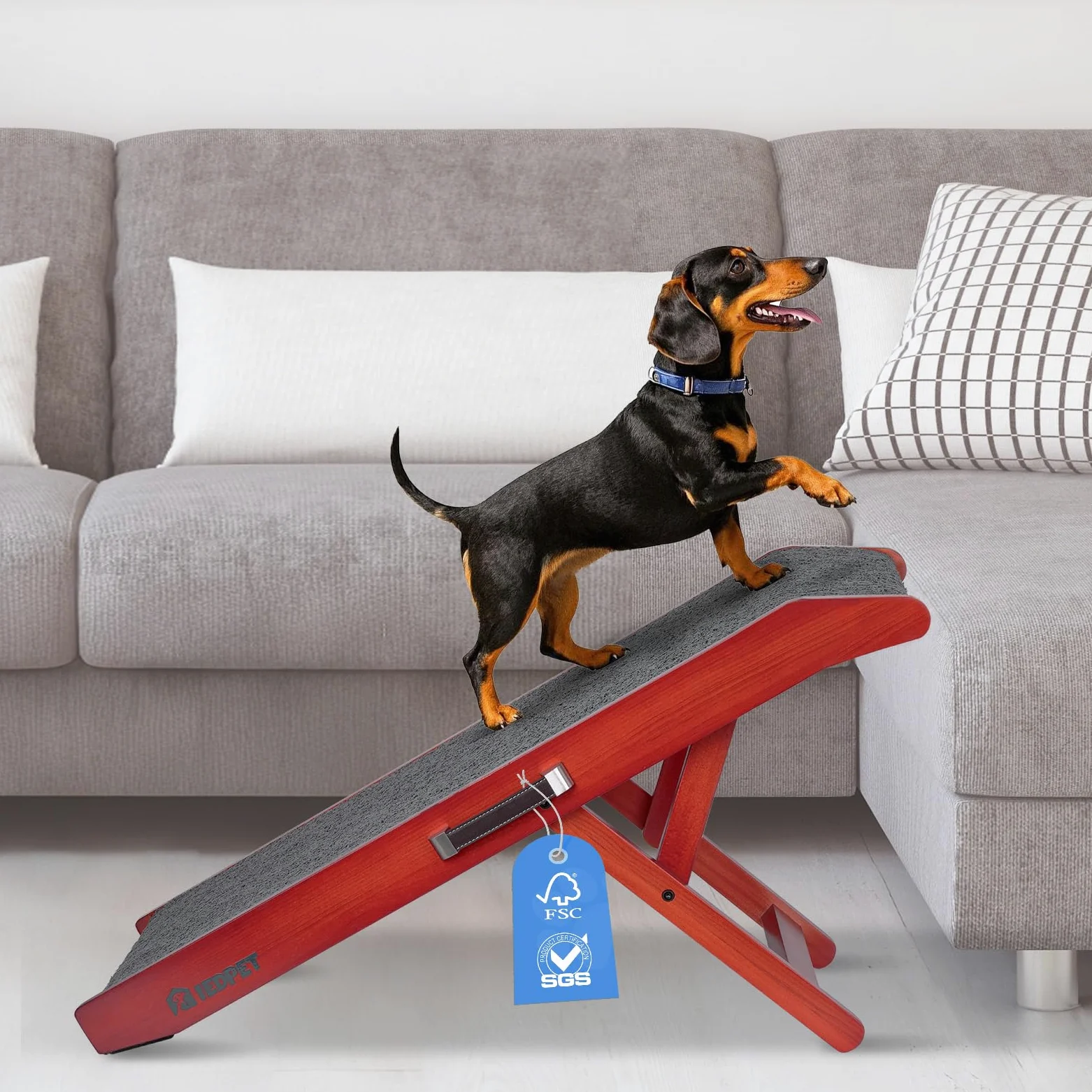 Rampa per cani – regolabile 34 – 61,5 cm, protezione dal risciacquo, in legno di betulla, pieghevole, per letto, divano, auto, rampa per animali domestici, scale per cani di piccola taglia (XL)