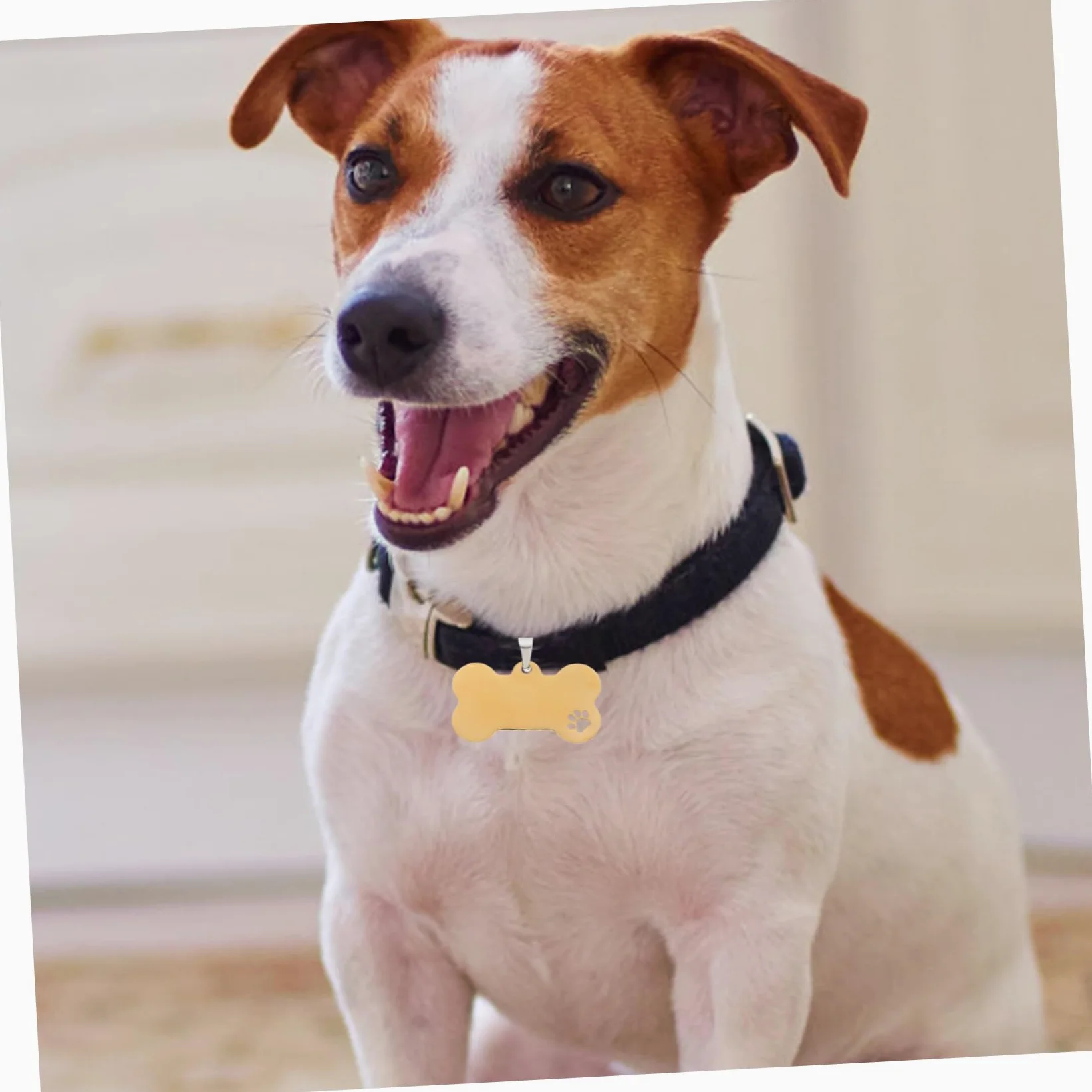 Mipcase 15pezzi Medagliette Inossidabile Per Targhette Per Domestici Incisione Personalizzata Accessori Per Pet