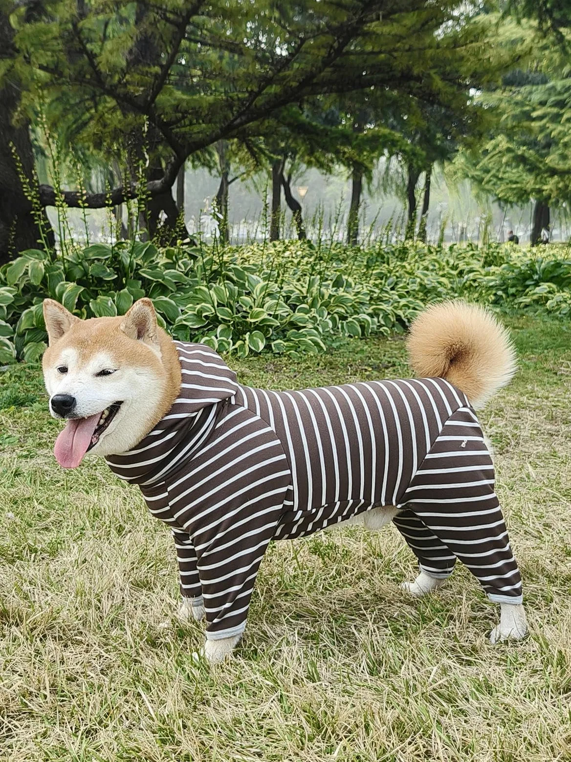 Felpa Con Cappuccio Per Cani Sportiva Alla Moda Felpe A Tutina Dolcevita A Righe Classiche Cappotto Per Cani Tuta Con Cappuccio E Maniche Lunghe A Quattro Zampe