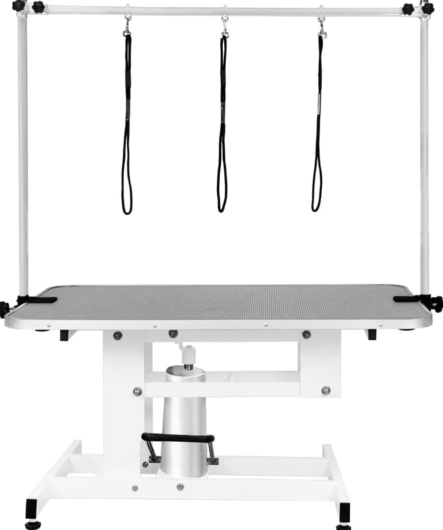 Tavolo Idraulico Toelettatura Cani - Altezza 55-101 cm, Capacità 180 kg, Bianco - Piano Grigio, Antiscivolo 106x61 cm, Acciaio Bianco, Piedini Livellanti, 3 Guinzagli