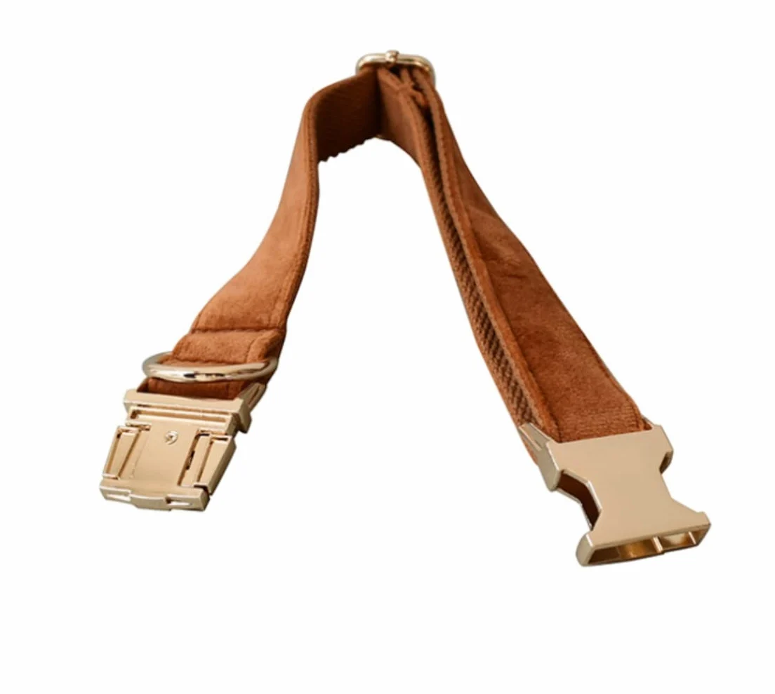 Morbido Guinzaglio Per Cani Guinzaglio Per Cani Con Fibbia In Oro Collare Collo Per Animali Domestici Set Di Sicurezza In Lega Per L'allenamento Quotidiano All'aperto Antiscivolo Flexi(27-41cm)
