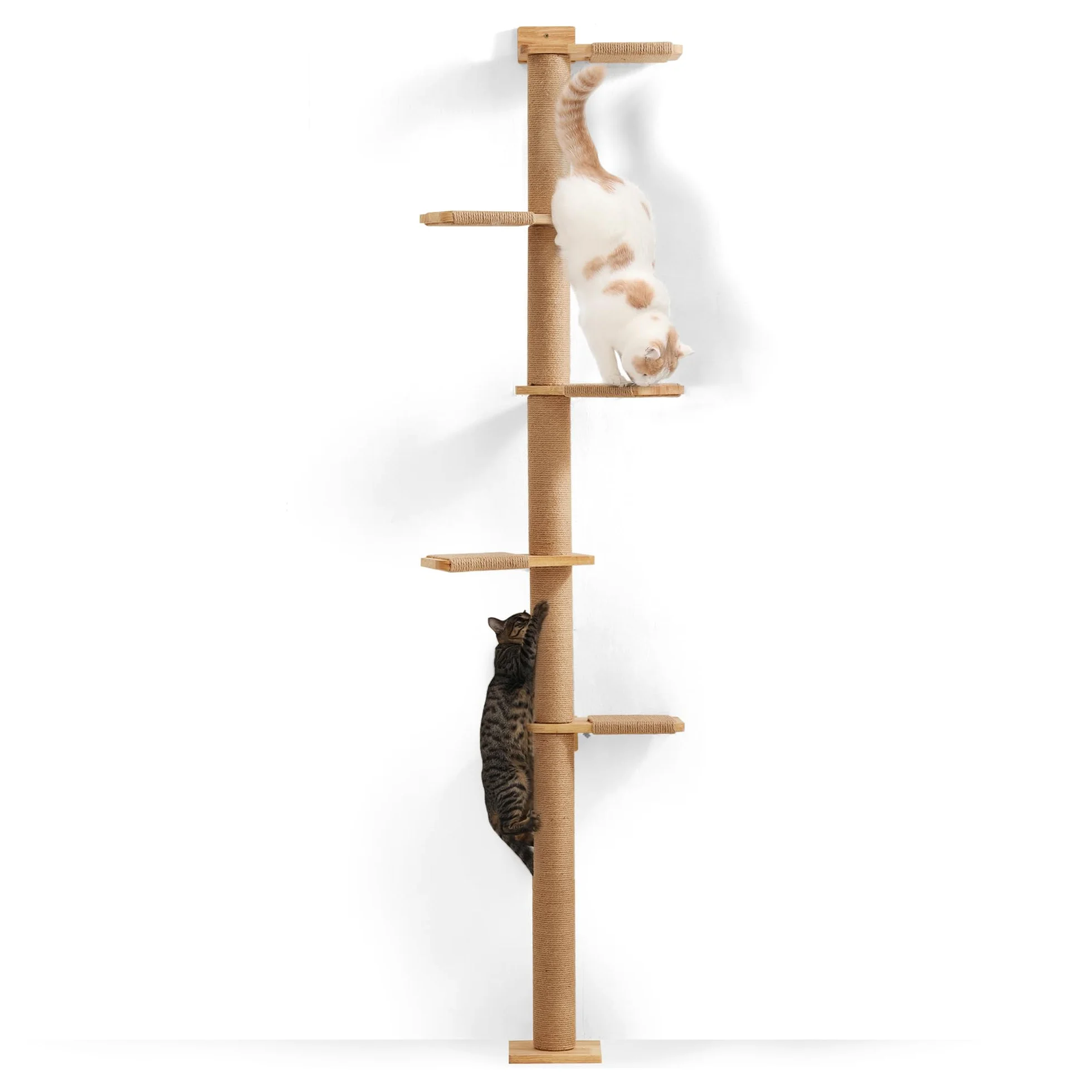 FUKUMARU Torre Tiragraffi per Gatti Alto (205CM), Mensola da Parete a 5 Livelli, Legno Massiccio e Iuta, Gradini per Arrampicare, Graffiare, Giocare