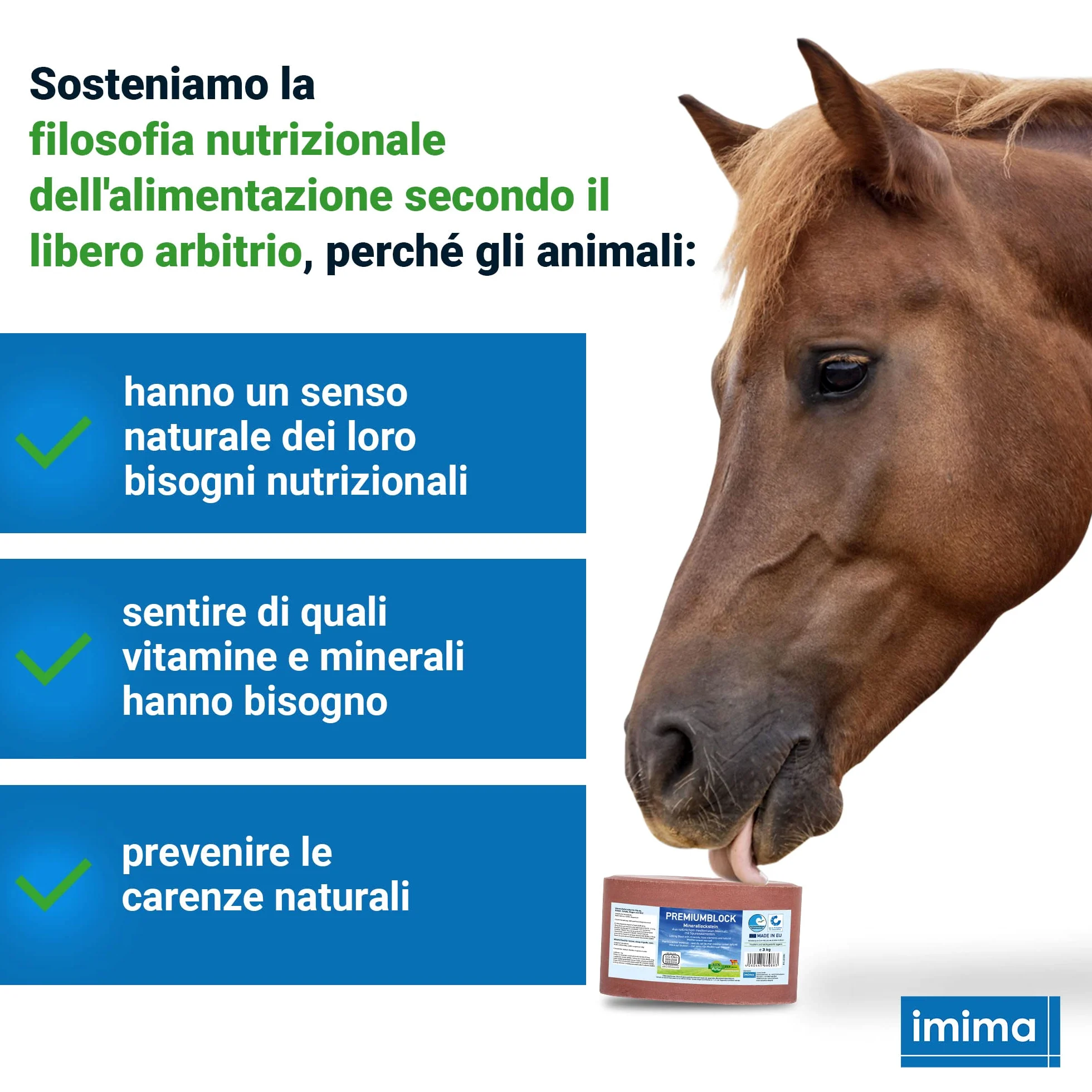 Mineral Lick Horse PREMIUMBLOCK Set di pietre saline 4 x 3 kg - Pietre saline per cavalli, pecore, capre, selvaggina e bovini - Pietra minerale per leccare il sale
