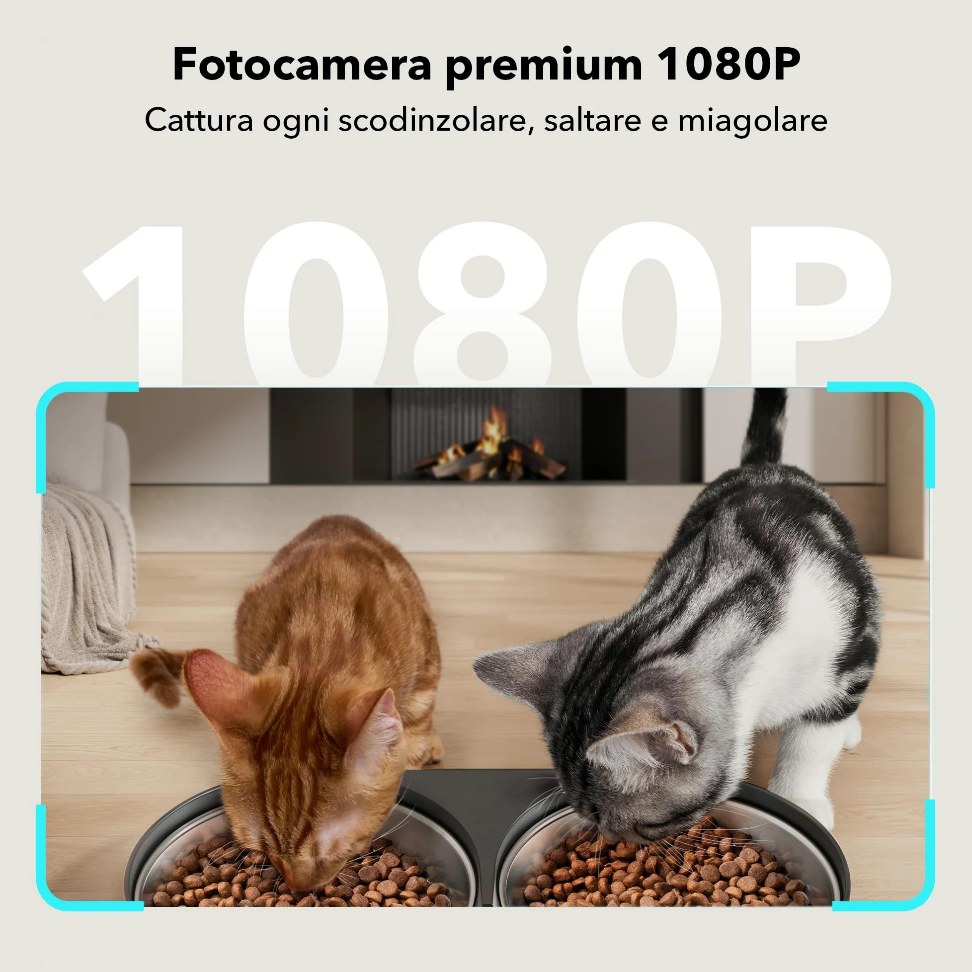 PETLIBRO 5G&2.4G WiFi Distributore Automatico Cibo Gatti con Telecamera,5L 1080P HD Distributore Automatico Cibo Cani con 2 Ciotole in Acciaio Inox,1-10 Pasti/Giorno,APP Controllo,USB e Batterie, Nero