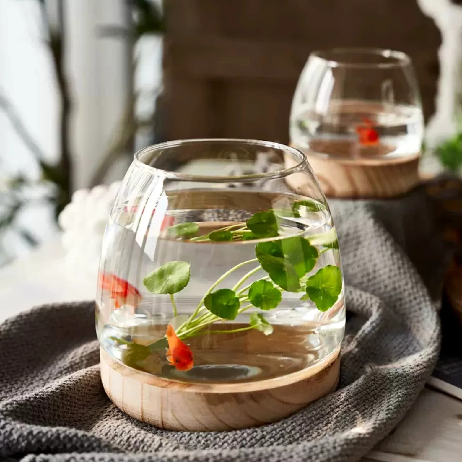Vaso per Pesci in Vetro Con Base in Legno Staccabile, Piccolo da Tavolo per Piante Idroponica, Terrario Acquario Ecologico, Fiori (A)