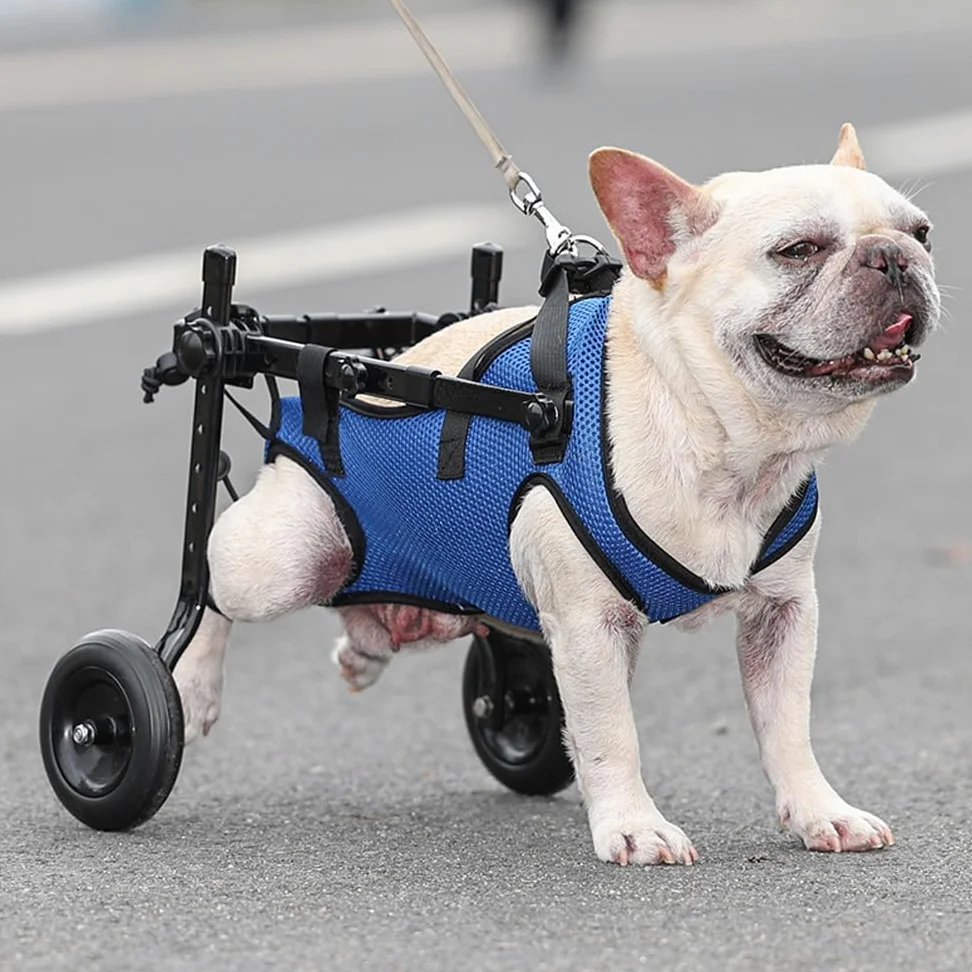 Sedia a rotelle per cani, carrello regolabile per animali domestici per zampe posteriori, tutore per zampe e supporto per fianchi, aiuta i piccoli animali domestici con arti posteriori