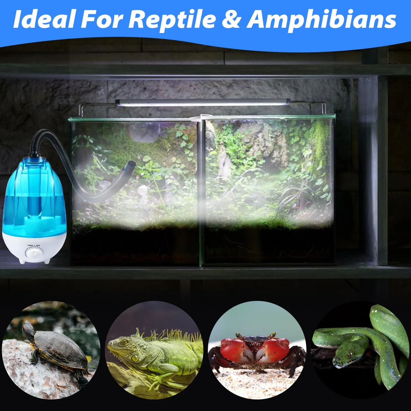 Umidificatore per Terrario 4L - Nebbia 300mL/h con Luce Notturna 7 Colori | Tubo Regolabile 40-160cm | Ultra Silenzioso (<35dB) | Per Rettili, Anfibi e Piante Tropicali