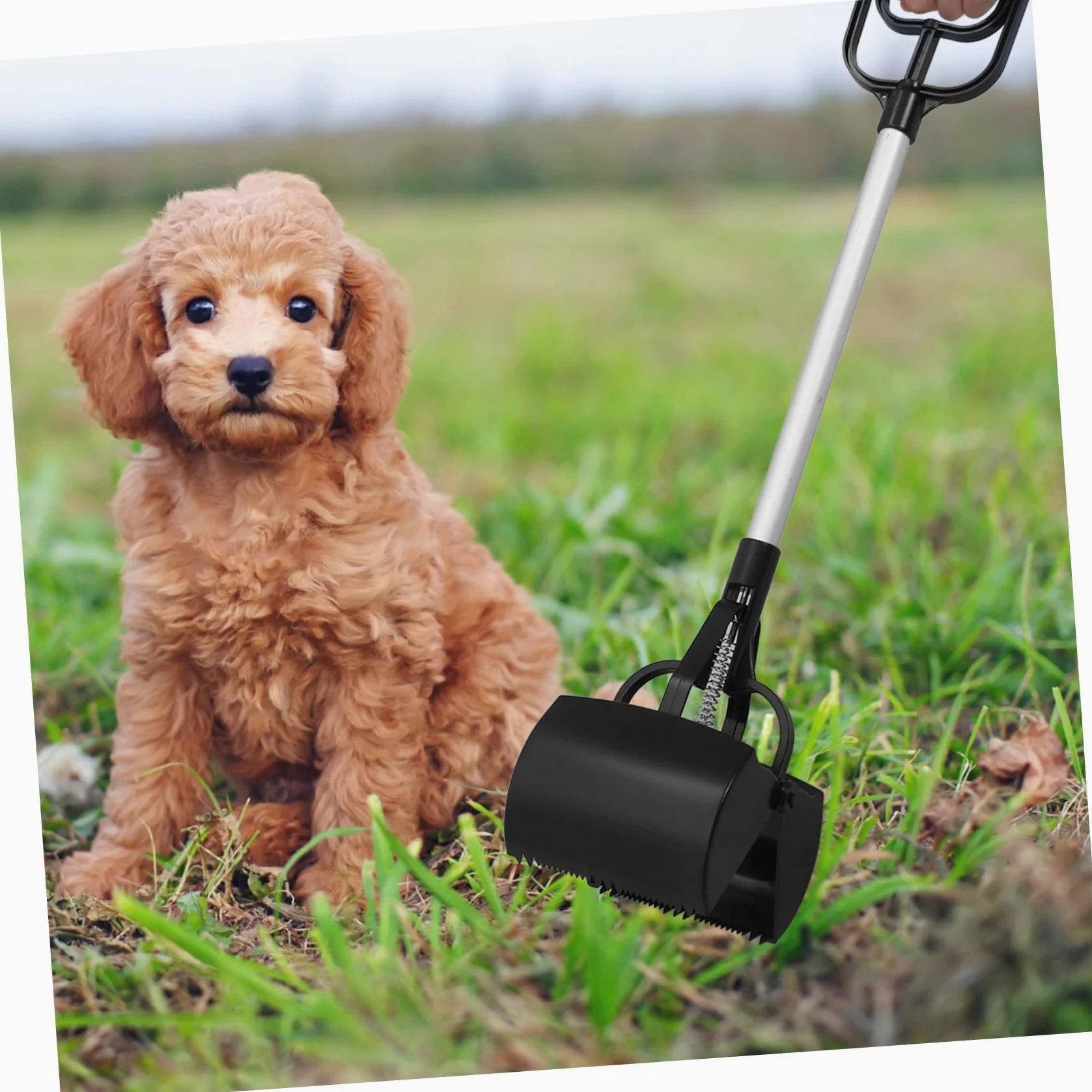 1pezzi Raccoglitore Escrementi per Cani con Manico Extra Lungo Strumento di Pulizia per Animali Domestici Leggero e Portatile Facile da Usare per La Raccolta di Feci Utile per