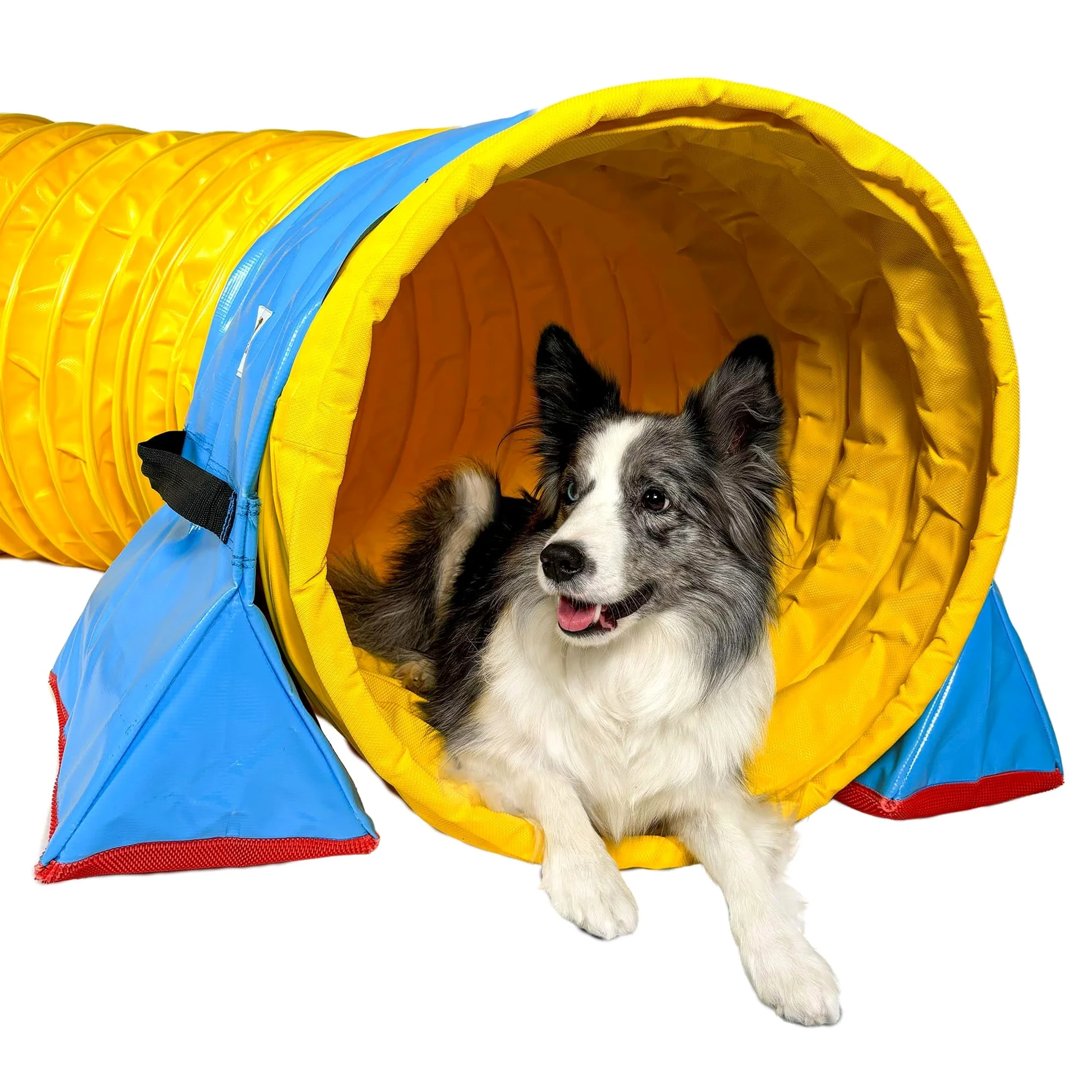 Callieway® 360°Full Grip Tunnel Dog Agility Modello Trophy, 60cmØ, Conforme a FCI (6m, Giallo)