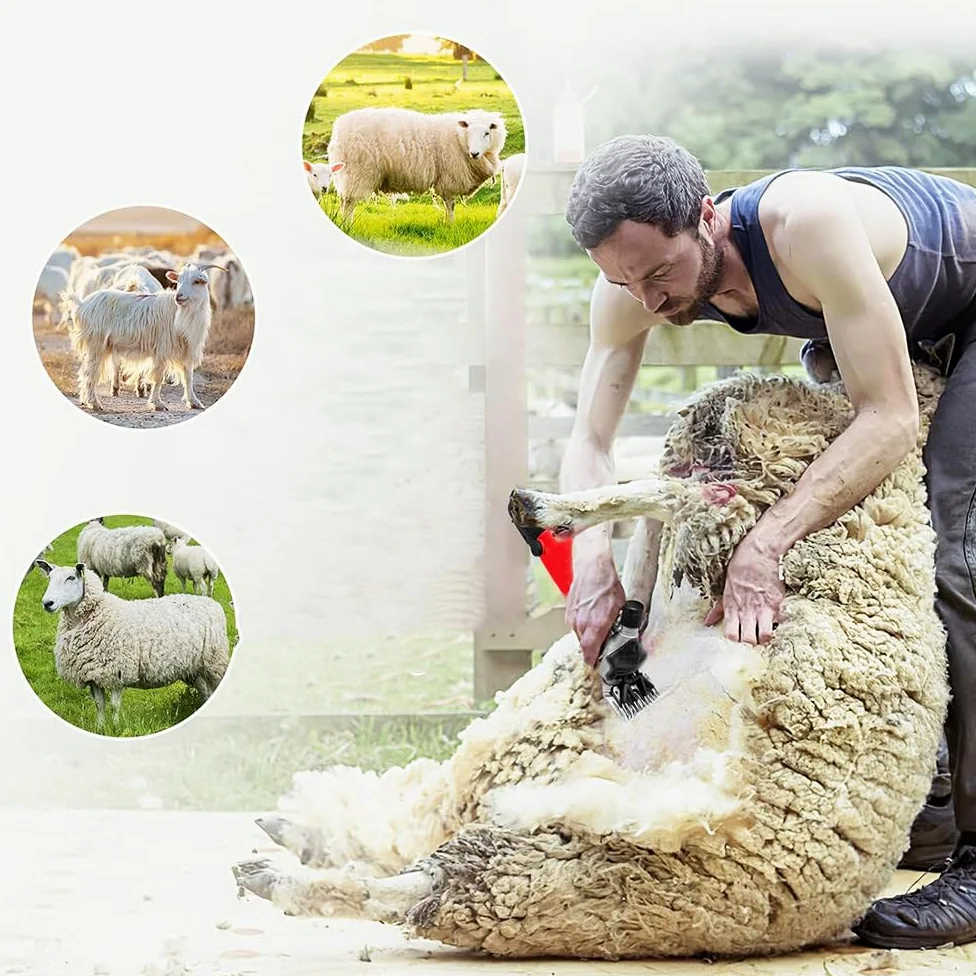 Tosapecore Tosatrice Elettrica Professionale per Pecore Capre Lama Alpaca con Motore 550W Regolabile 6 Velocità Valigetta e Accessori Inclusi