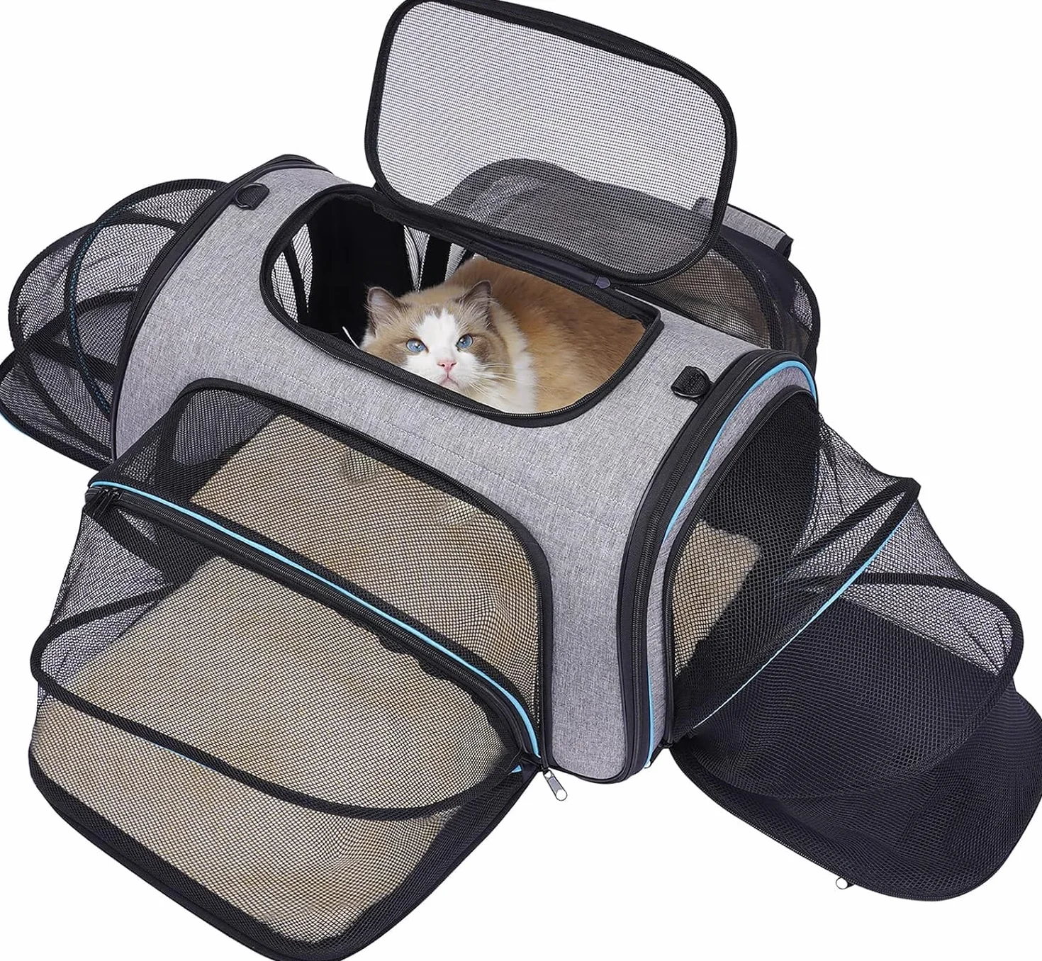 Trasportino Morbido per Cani, Gatti e Cuccioli, SIIVTON Borsa Ripiegabile da Trasporto Airline/auto per Cuccioli, Animali Domestici ,Espandibile e Morbido (46* 28 * 28 cm)