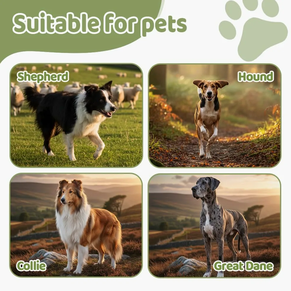 MiOYOOW Palla per Cani Interattiva, Giocattolo per Cani da Pastorizia in Doppio Strato, Pallina Gonfiabile per Cane con Rivestimento in Oxford, per Gioco all'Aperto, Addestramento e Allevamento