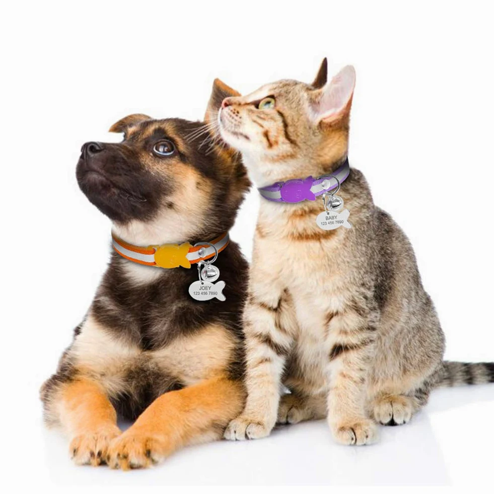 Collare di sicurezza per cuccioli di gatto, a sgancio rapido, con targhetta identificativa e campanellino personalizzabile, XS, Raissa metallizzate