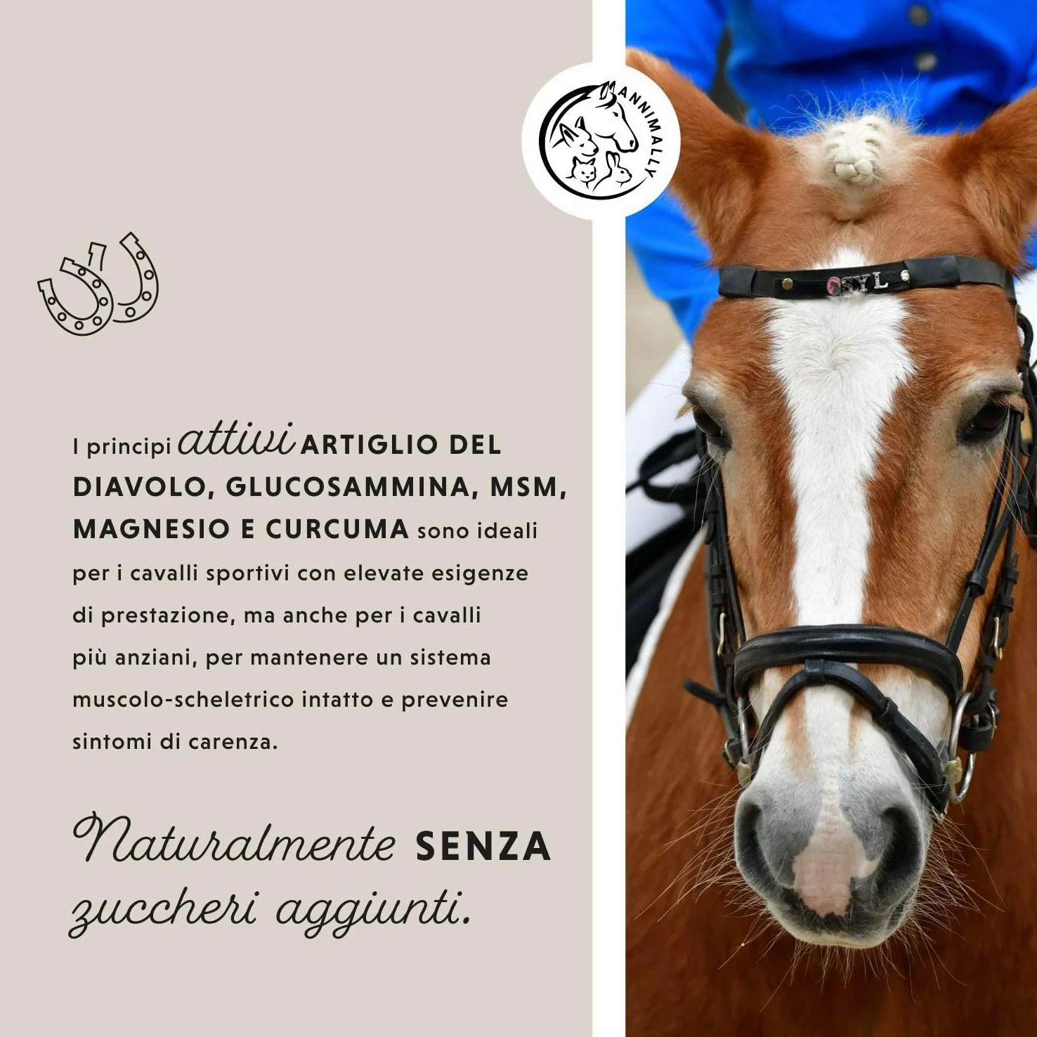 Liquido articolazioni per cavalli 1000ml con artiglio del diavolo cavallo, glucosamina e MSM cavallo (zolfo) liquido- Per il rafforzamento delle articolazioni del cavallo- msm integratore per cavalli