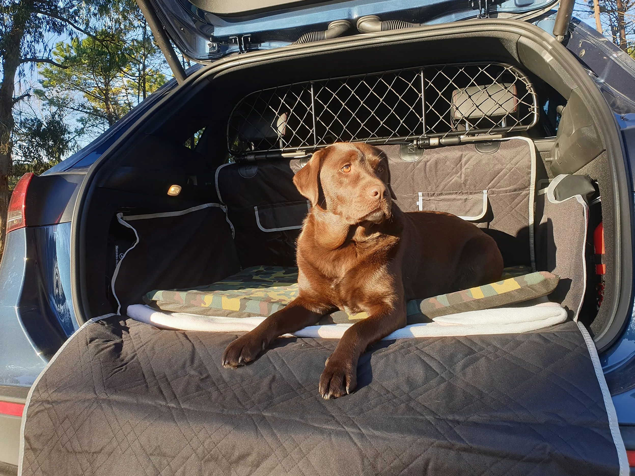 ERGOTECH Divisorio Griglia Rete Divisoria per Mercedes GLA (dal 2020 in Poi) RDA65-XS, per Trasporto Cani e Bagagli