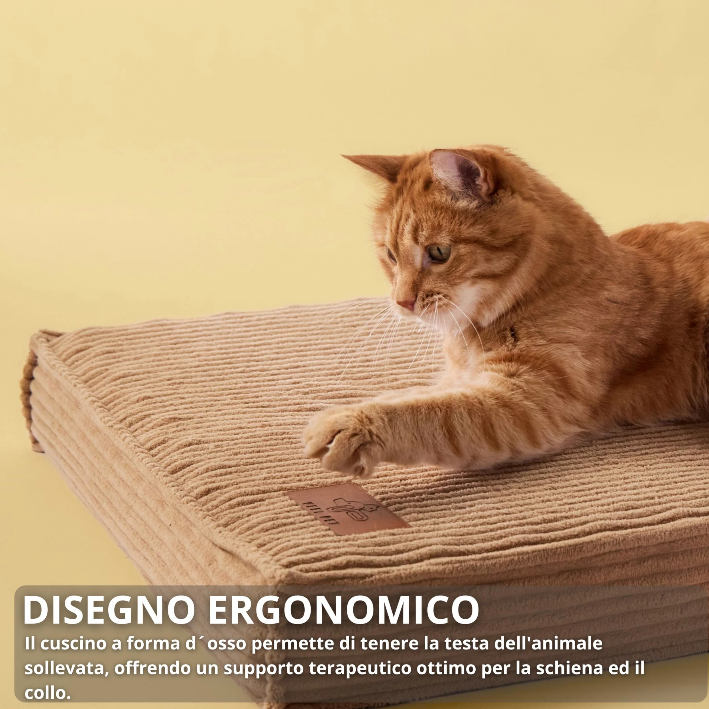 Cuccia Gatto Ortopedica con Cuscino Sfoderabile e Lavabile – Materasso Alta Densità Impermeabile, Base Antiscivolo, Letto Comfort per Gatti Adulti e Anziani, Design Premium (SMALL)