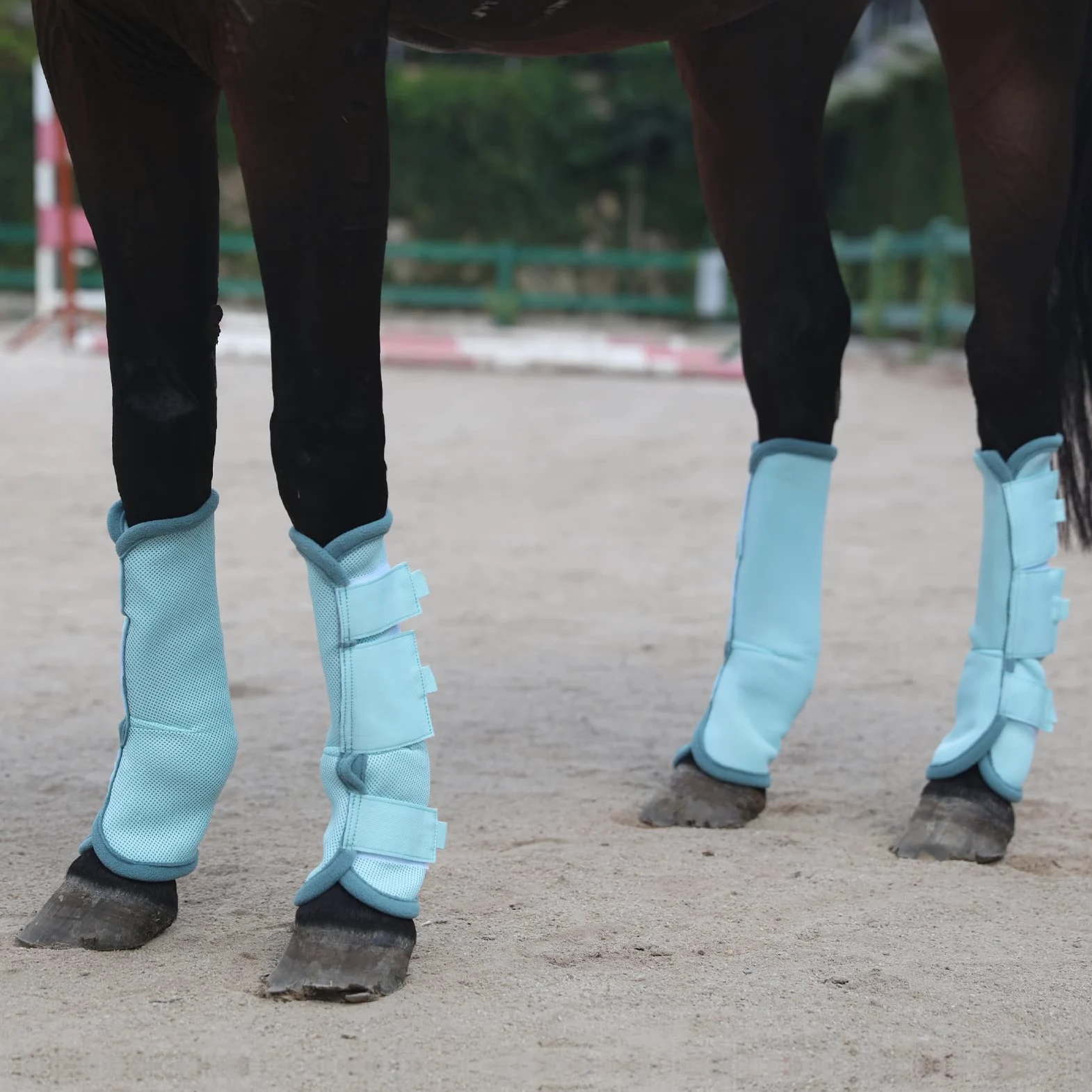 Set di 4 stivali da mosca per cavalli, traspiranti e comodi, leggings per cavalli in rete riducono il calpestio, lo stress degli zoccoli e l'affaticamento delle gambe, SkyBlue Pony