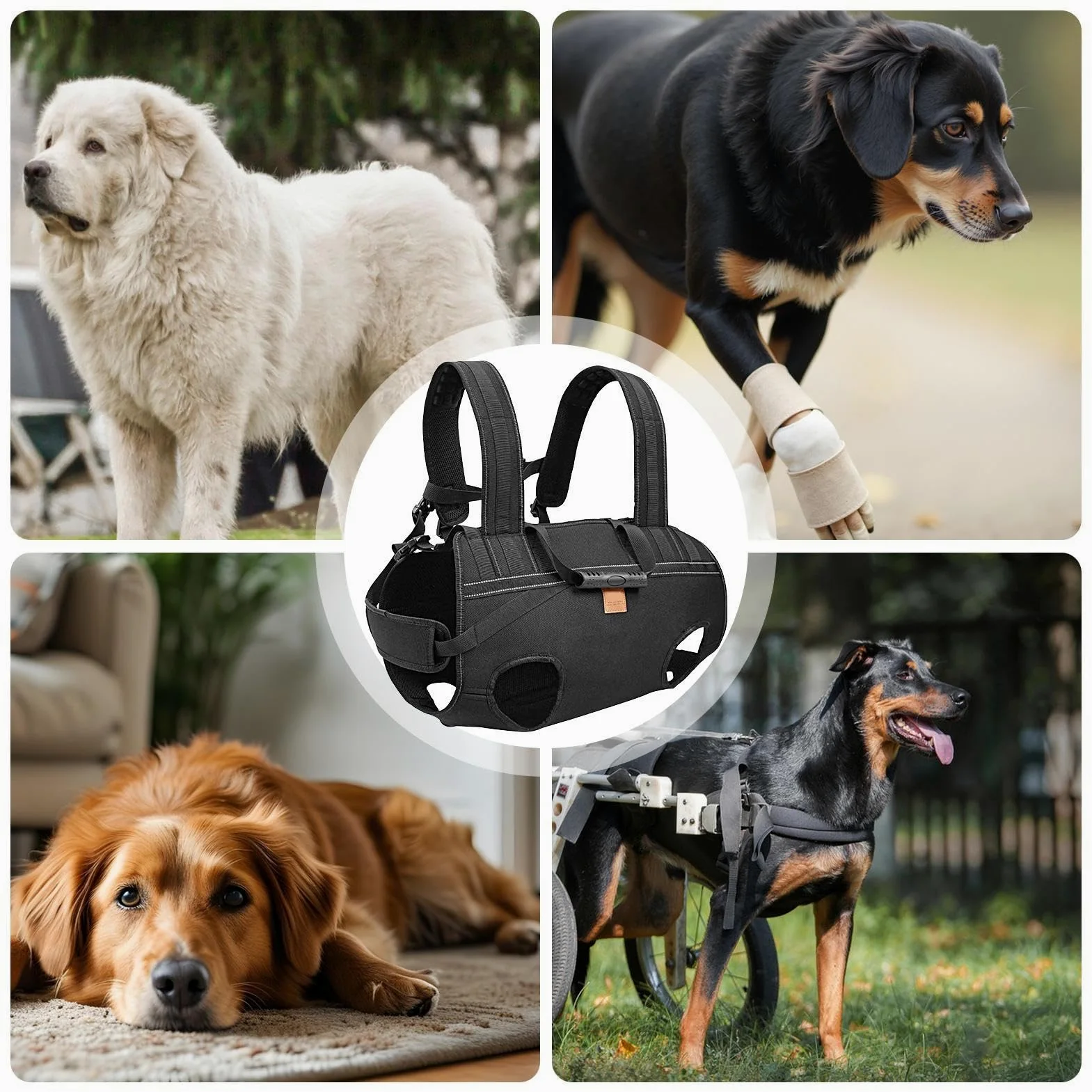 Imbracatura Per Sollevamento Cani Fascia Di Trasporto Regolabile | Supporto Sollevamento Cane per Escursionismo Viaggi Passeggiate Quotidiane Movimento Riabilitazione