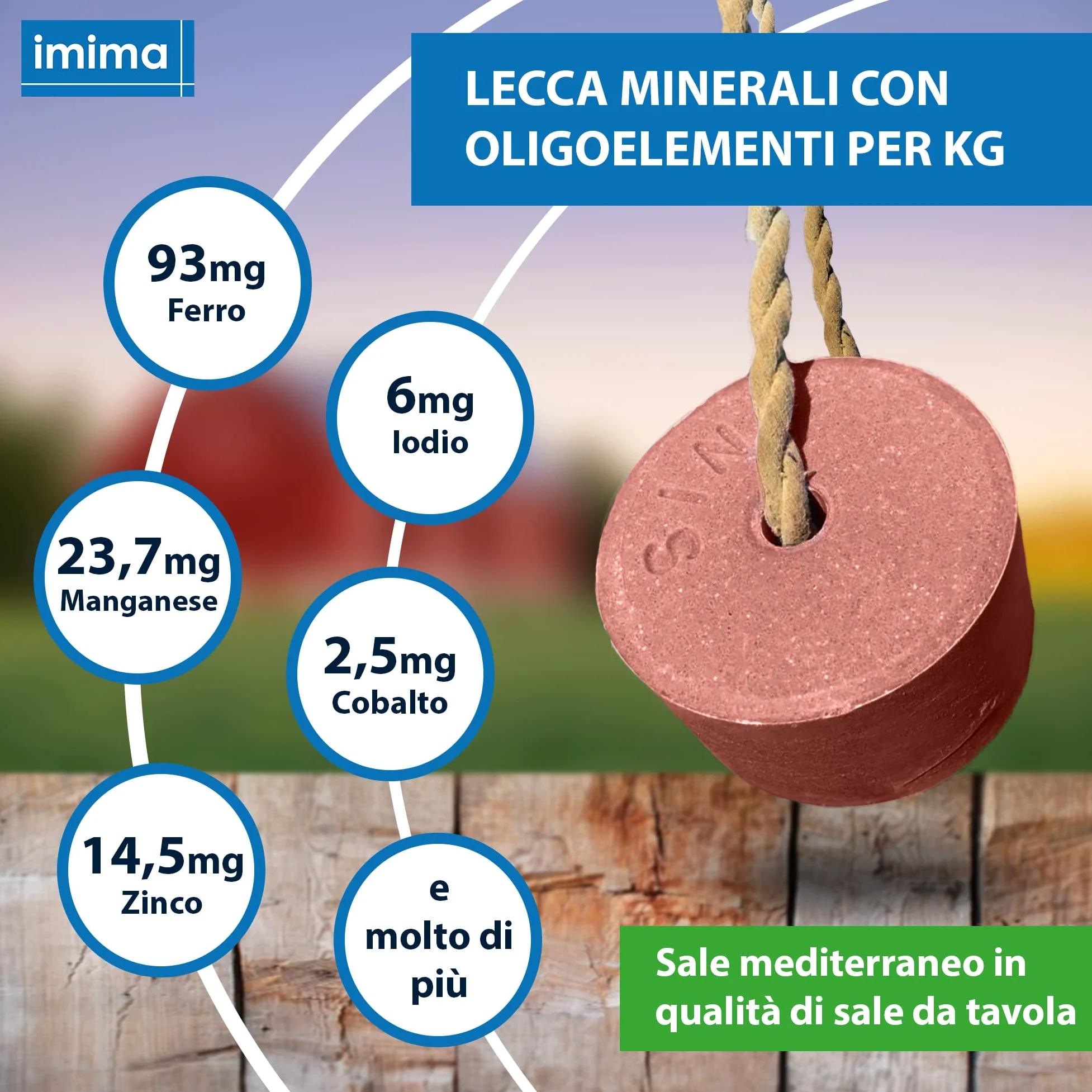 Mineral Lick Horse PREMIUMBLOCK Set di pietre saline 4 x 3 kg - Pietre saline per cavalli, pecore, capre, selvaggina e bovini - Pietra minerale per leccare il sale