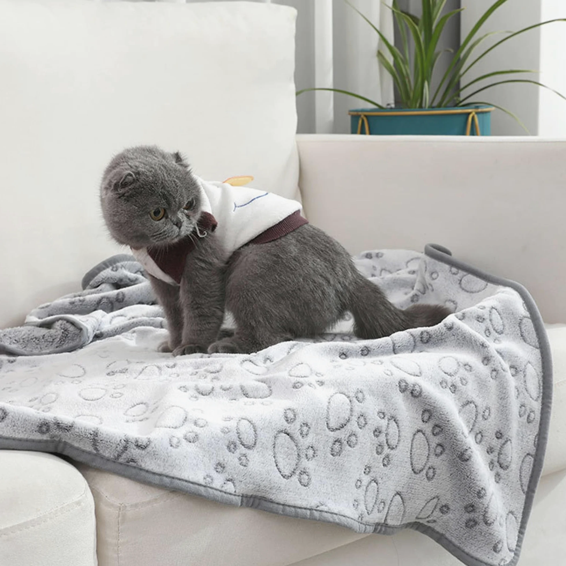 Confezione da 2 coperte per animali domestici di grandi dimensioni, con stampa di zampe, morbida coperta calmante per cani e gatti, calda coperta per dormire, divano, letto, divano (200 x 160
