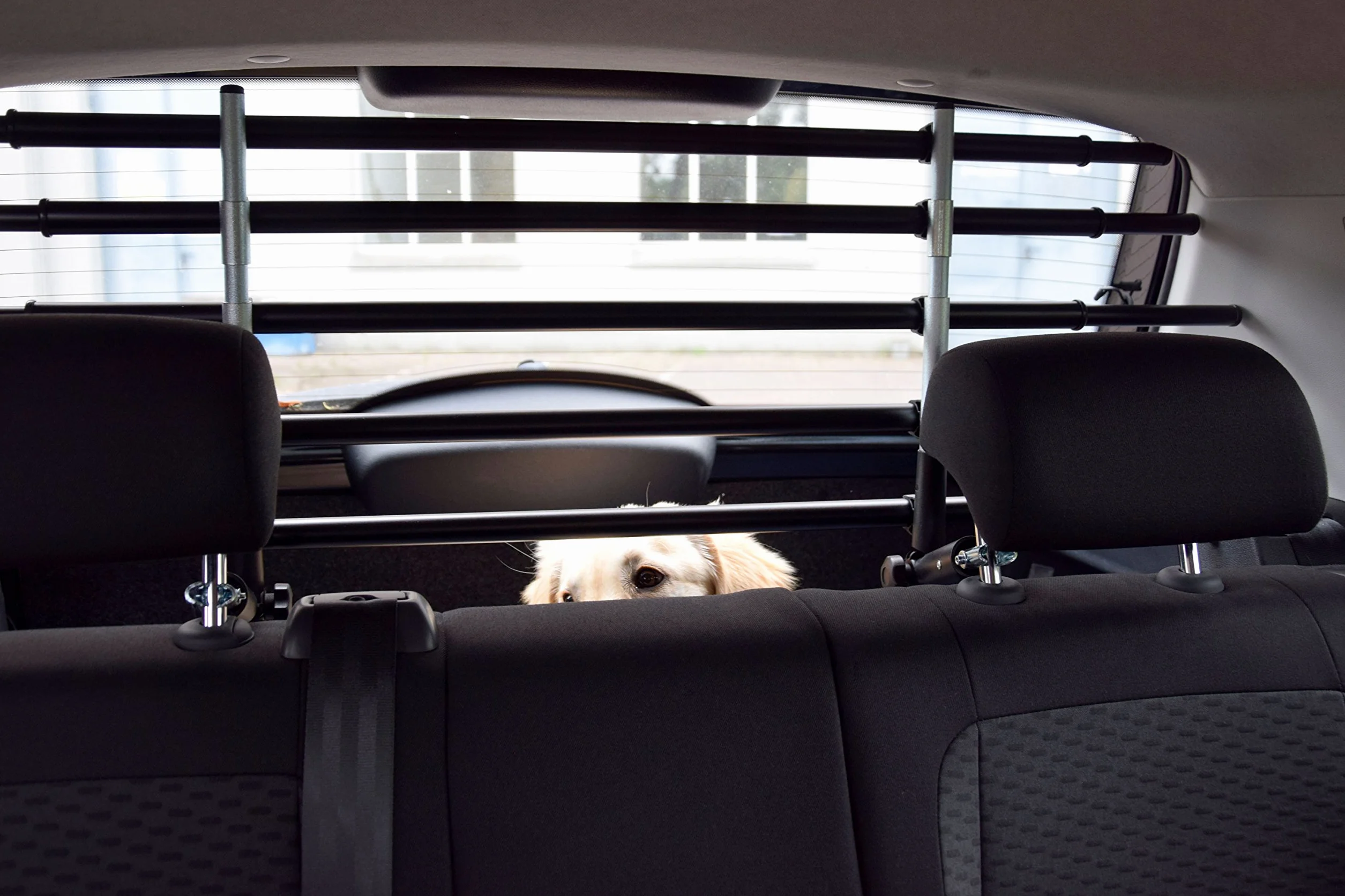 dobar 62200 Walky Barrier griglia divisoria Pieghevole per Bagagliaio, per Cani, Adattabile a Qualsiasi Auto, 28–36 x 82–141 cm, Colore Nero