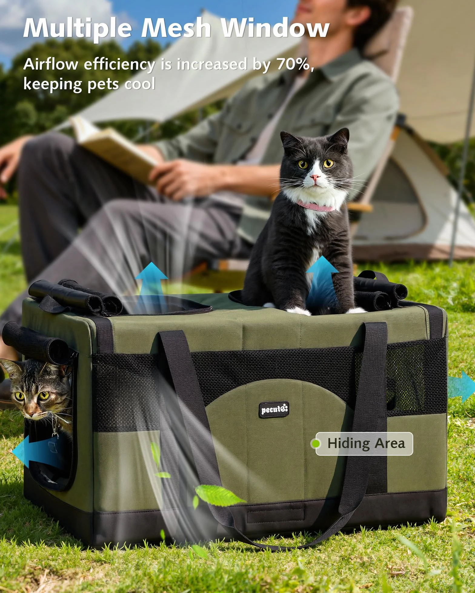 Pecute Trasportino per gatti a doppio scomparto, borsa per il trasporto di gatti ultra stabile, borsa da viaggio traspirante per gatti, traslochi e visite dal veterinario, Verde