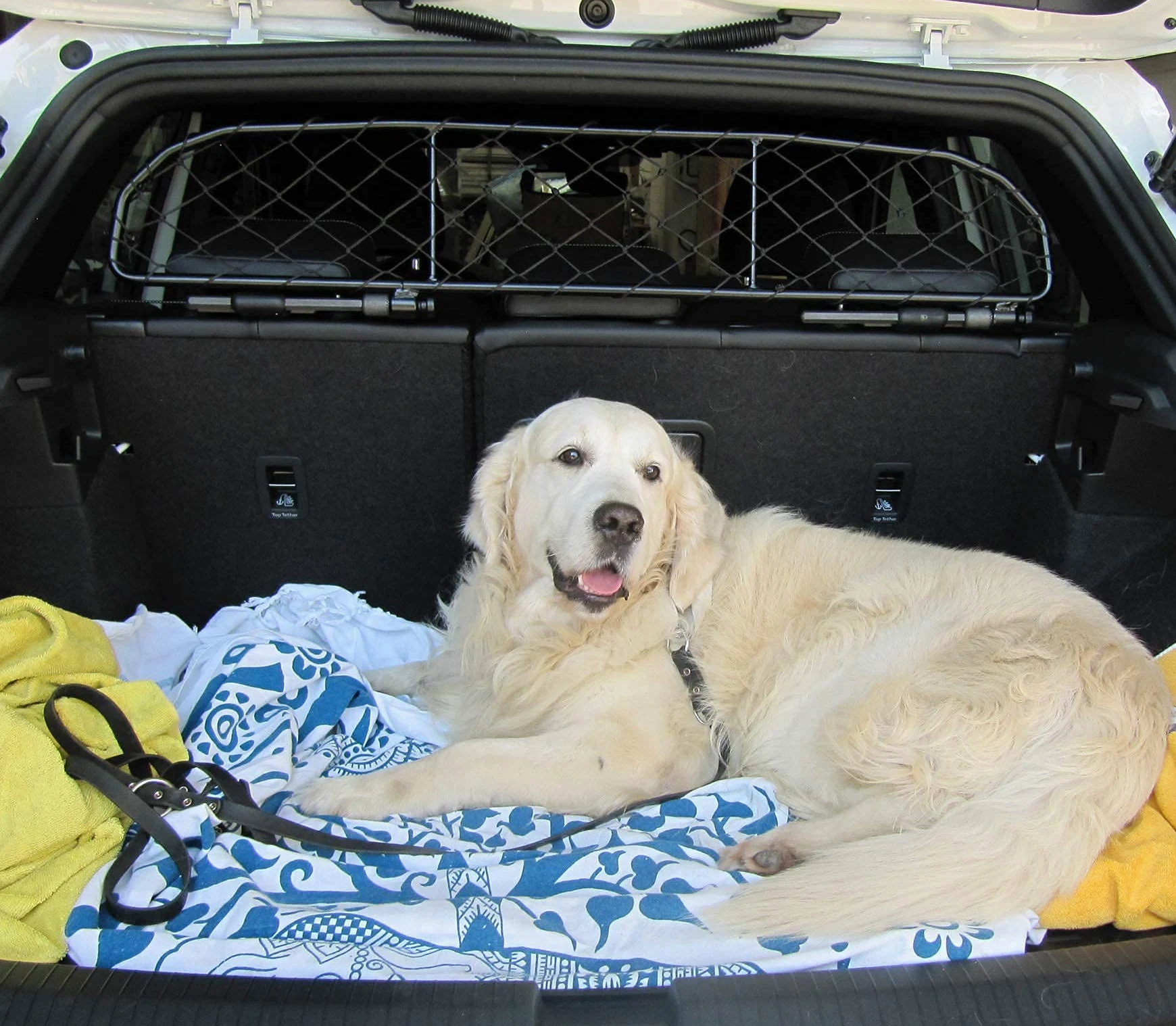 ERGOTECH Divisorio Griglia Rete Divisoria Compatibile con Volkswagen T-ROC, RDA65-HXXS8, per Trasporto Cani e Bagagli