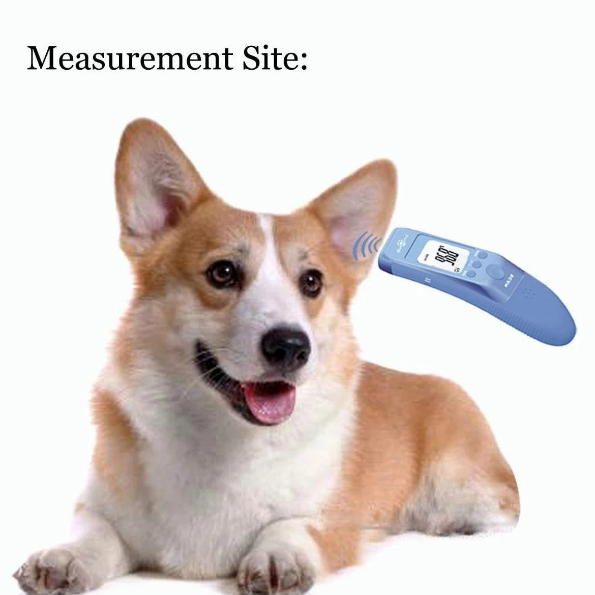 Termometro per animali domestici senza contatto per cani, classico clinico veloce, 3 modalità (corpo, superficie dell'oggetto, stanza), modalità corporea per misurare accuratamente la