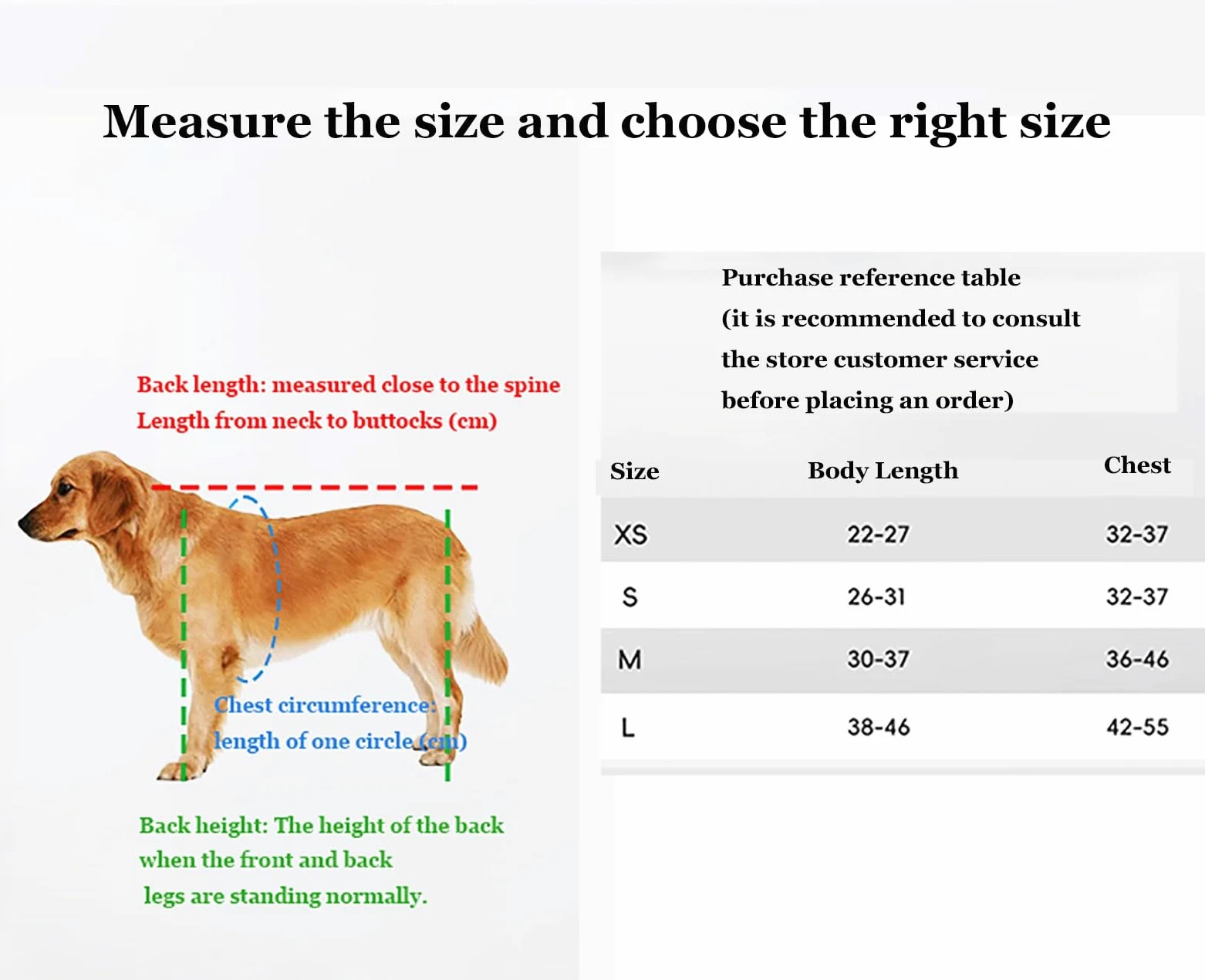 Sedia a rotelle per Cani a 2/4 Ruote per Zampe Posteriori, carrelli per Cani Leggeri e Regolabili con ausili per la Mobilità degli Arti Posteriori, deambulatore assistito per Cani disabili p
