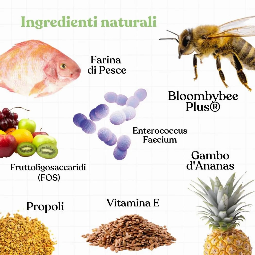 Bau Rimedio Dermatite Cane Anti-Prurito Allergie Stagionali, Alleviano il Prurito Cane, Ingredienti Naturali per la Salute della Pelle del Cane, Ideale per Cani con Pelle Arrossata -60cps