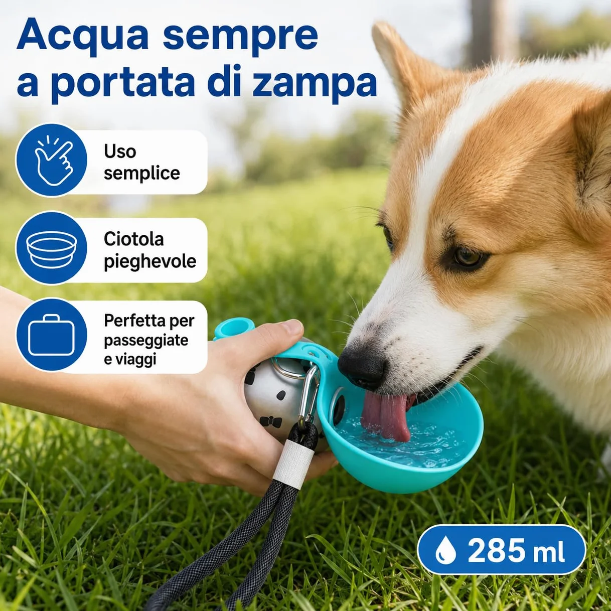 Borraccia per Cani Portatile e Compatta - Bottiglia in Acciaio per Cani in Acciaio Inox da 285ml con Ciotola Pieghevole in Silicone Anti-Goccia (Rosa A+Blu A 285ml)