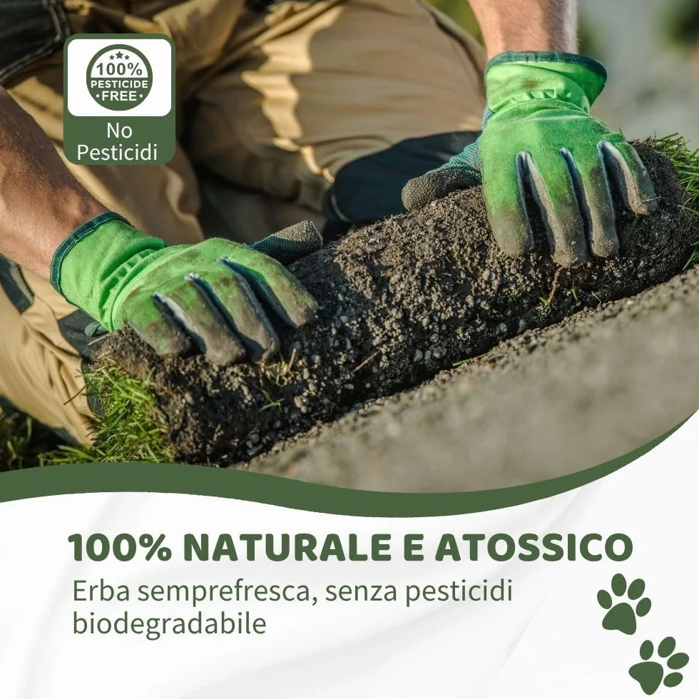 Kit XL cane PetZolla - Lettiera per cani in Vera Erba con Vassoio Riutilizzabile 100X90 cm, Traversine cane 100% Naturali e Atossiche, Toilette per cani in vero prato dura fino a 4 Settimane