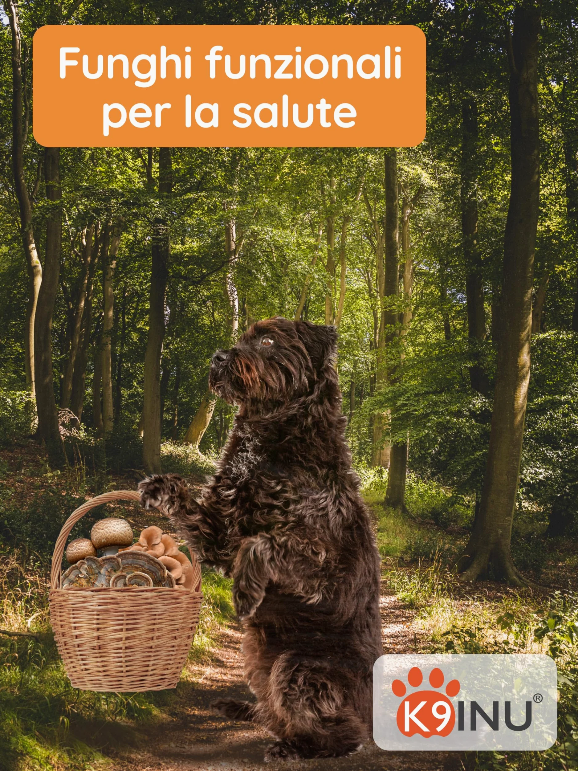 Supporto Immunitario per Cani - Complesso Concentrato di 6 Funghi Medicinali con Cordyceps, Reishi e Shiitake - Ricco di Beta Glucani - Vitamine per Cani - BIO, Naturale - 54 g