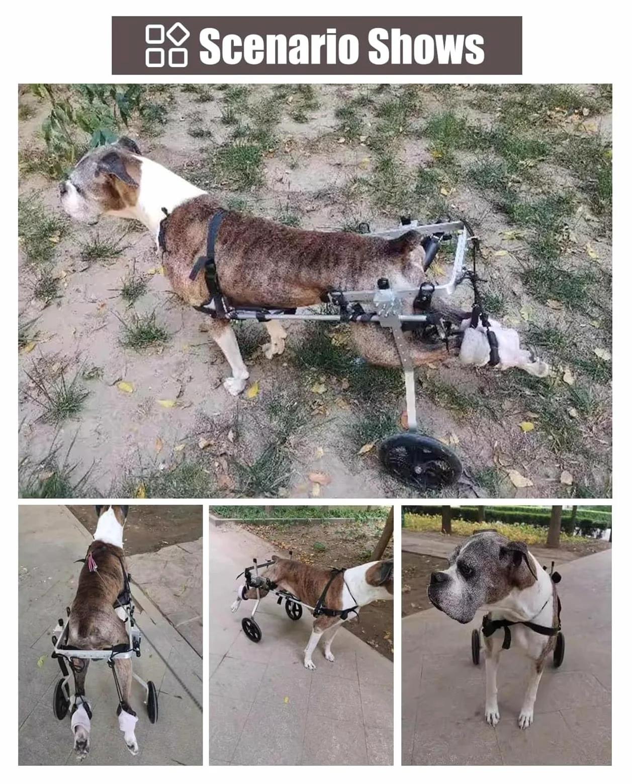 Carrello Cani Disabili, Sedia a rotelle per Cani, Deambulatore assistito a 2 Ruote for Arti Posteriori paralizzati, Carrello for la Mobilità in Alluminio(Size XXXL)