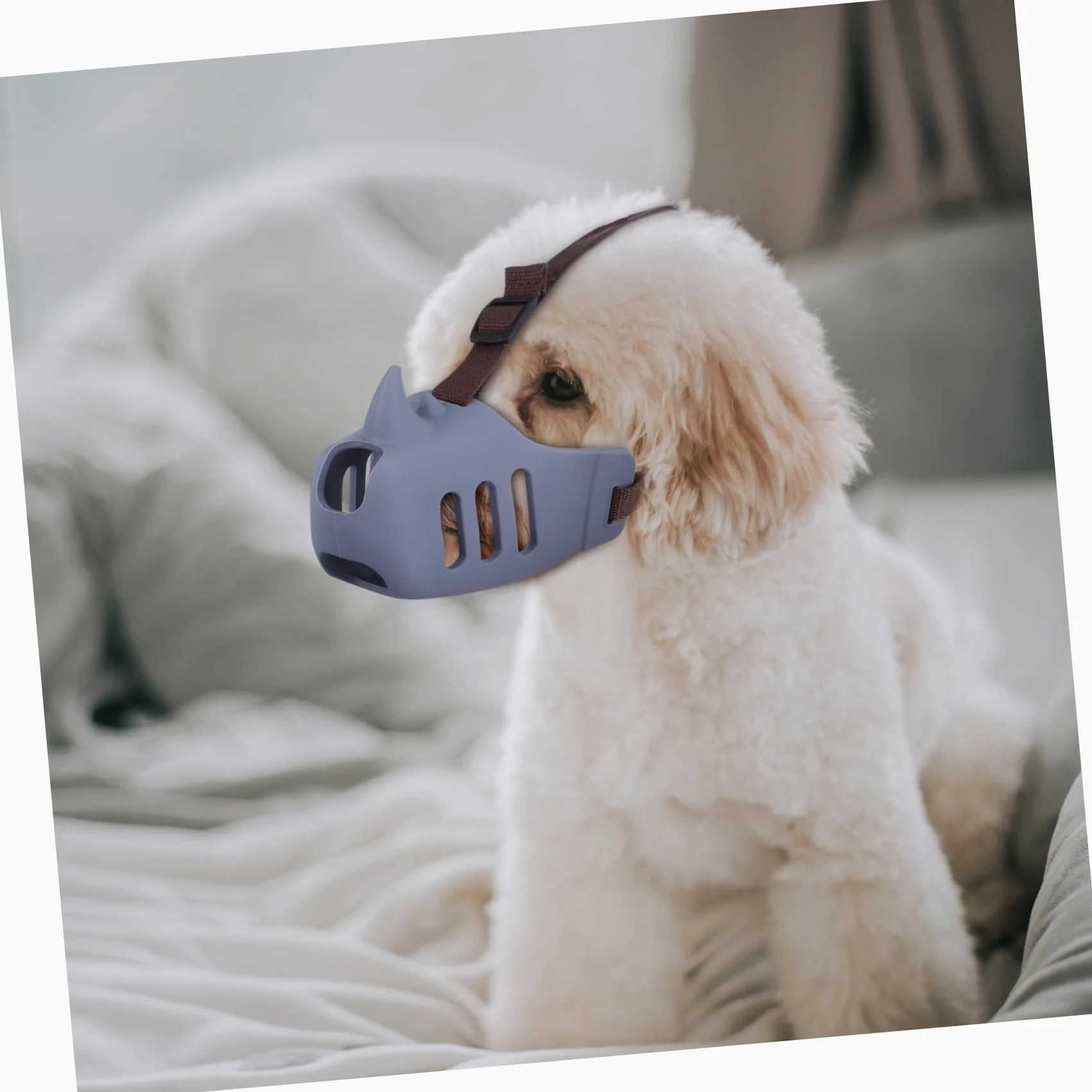 3pezzi Museruola Per Toelettatura in Silicone Antiabbaio e Regolabile Per Prevenire Morsi e Proteggere La Del Cane