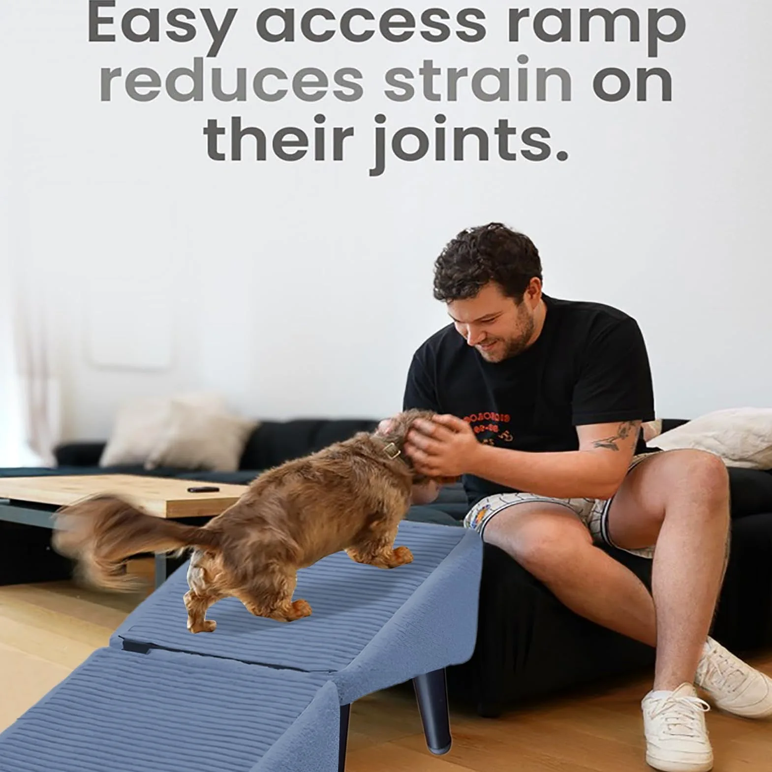 Rampa Per Divano Per Cani, Scaletta Antiscivolo Per Cani, Gradini Pieghevoli Per Letto, Scale E Gradini Portatili Multifunzionali Per Animali Domestici, Rampa Poggiapiedi 2 In 1, Per Cane E Gatti