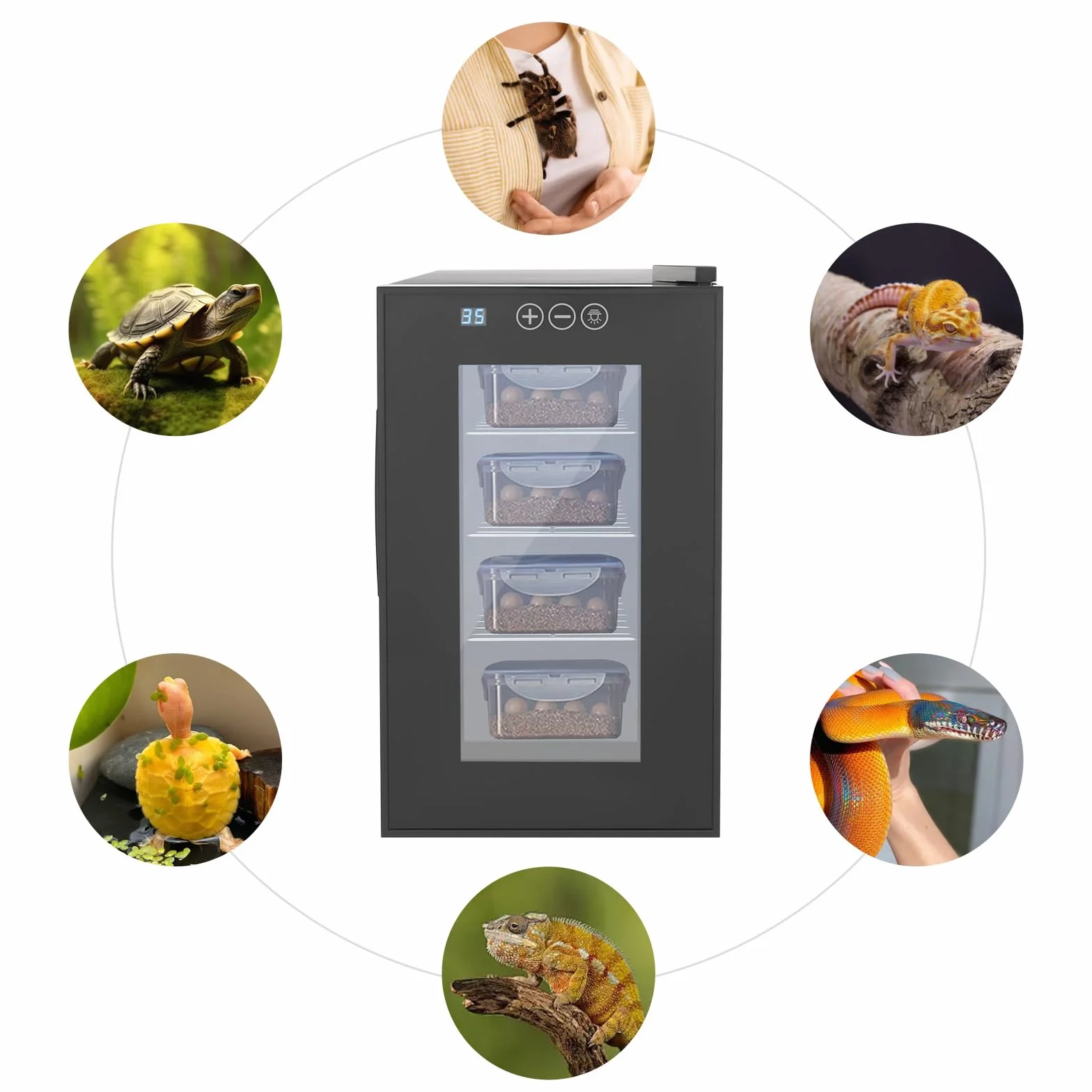 Incubatore per uova rettili da 23 l, 55 W, automatico con indicatore LED, mostra un incubatore silenzioso, temperatura regolabile 10 – 40 °C per tartarughe d'acqua, 25,8 x 50,2 x 46,5 cm, nero