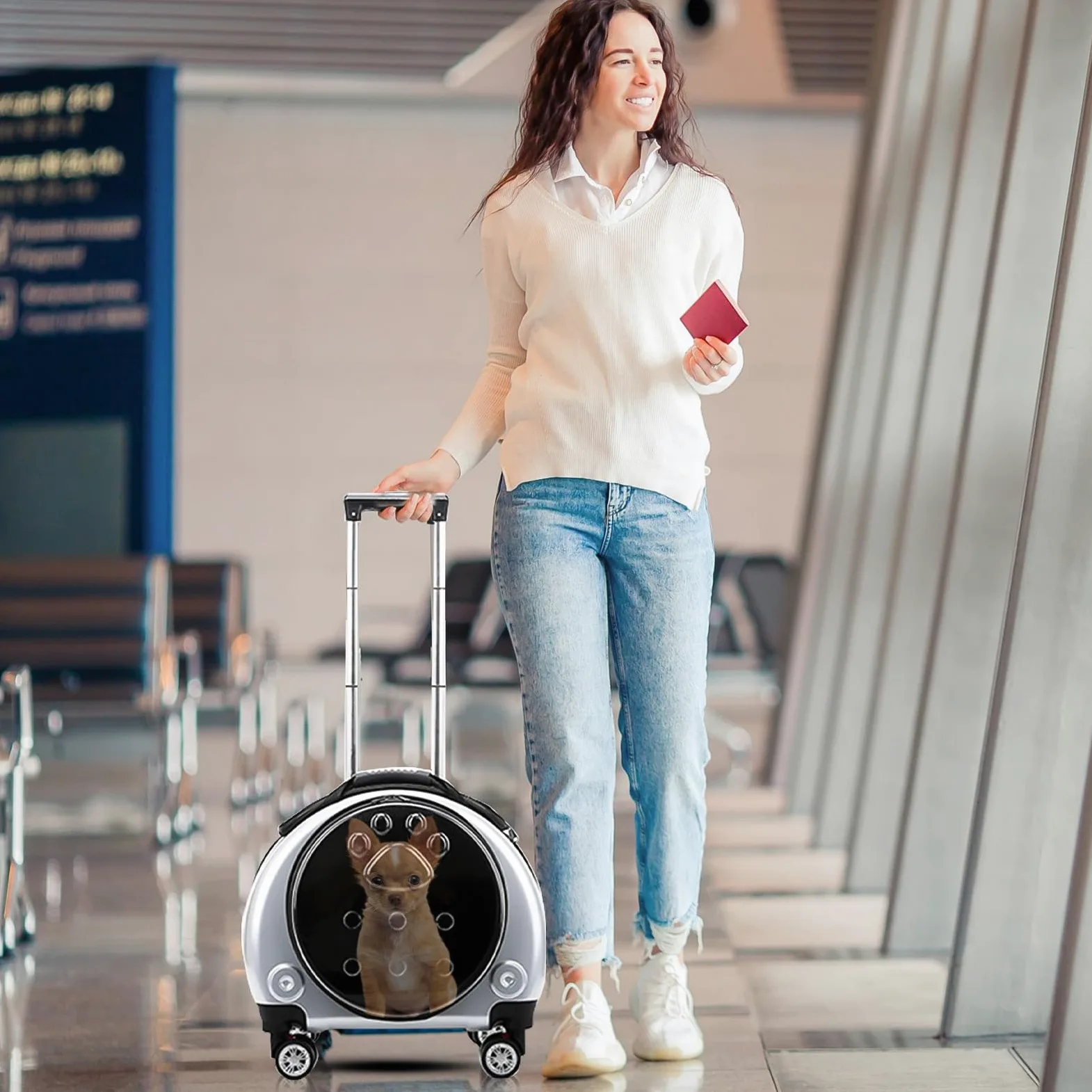 PETCUTE Zaino Trolley per Cani Gatti,Buona Ventilazione,Zaino per Gatti con Tappetino Rimovibile,Comoda Maniglia,Pieghevole Trasportino Gatto con Ruote per Cani Piccoli Gatti Medi Fino 7.5 KG