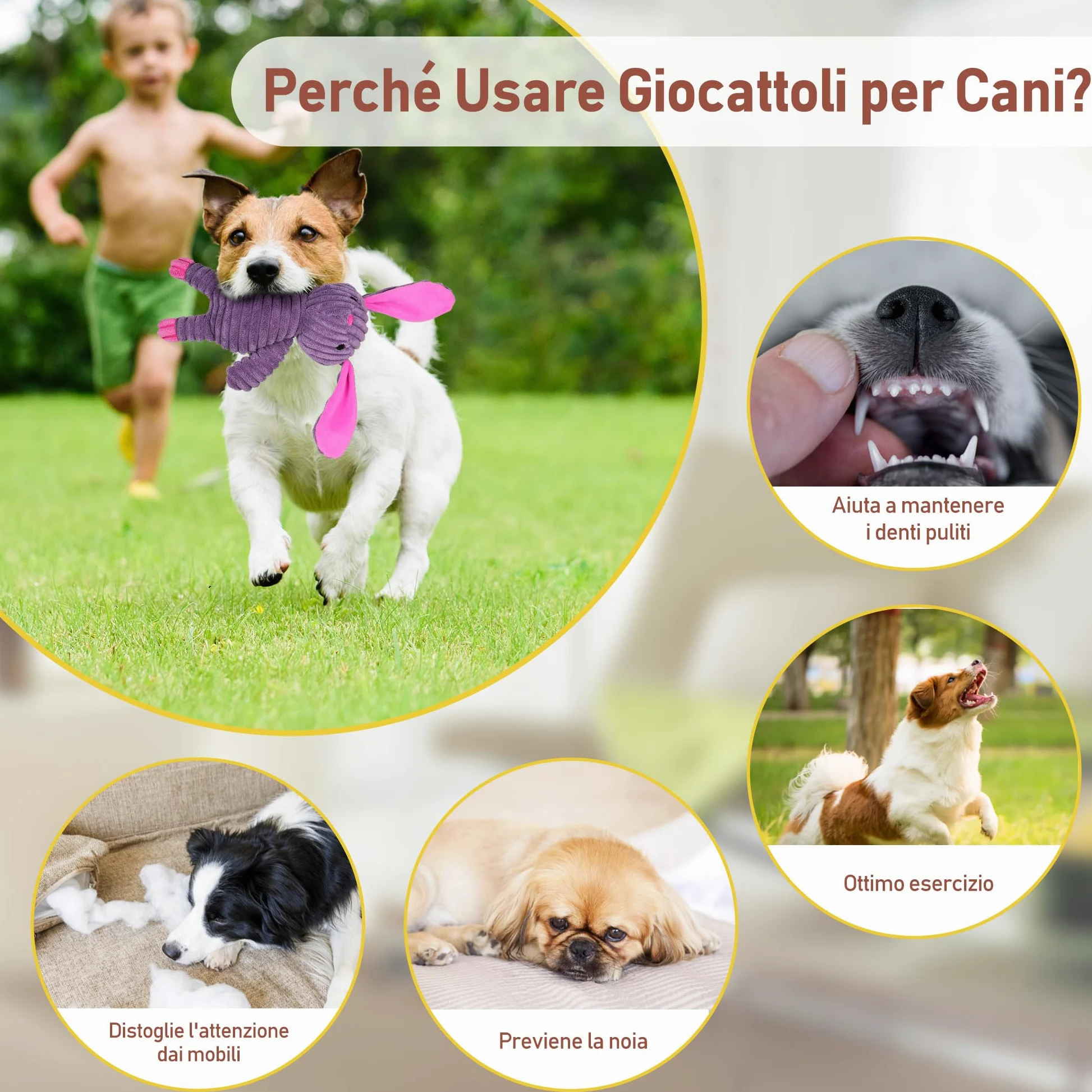 PrimePets Peluche per Cani, 5 Pezzi Giochi Cane con Squeak, Giocattoli per Cani, Peluche Cane, Giocattolo Interattivo (Animali Fattoria)