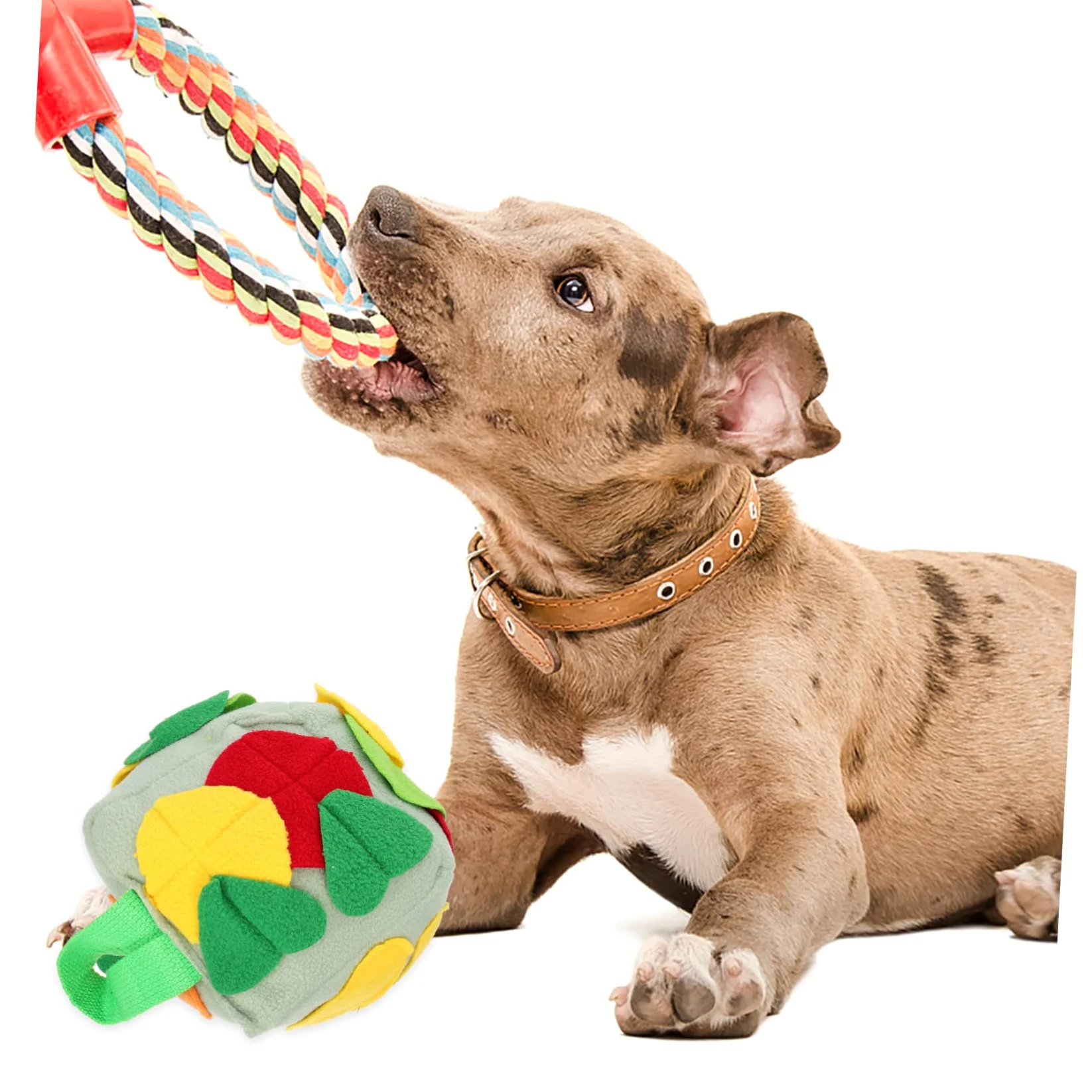 Housoutil 3pezzi Palla Per Cani Snuffle Giocattolo Per Foraging e Addestramento Mat Per Sniffing Con Dispersione Di Cibo Stimola Attività Fisica e Mentale Fresh