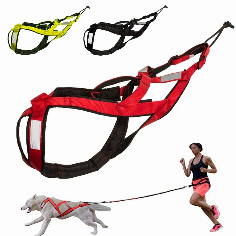 Pettorina Riflettente for Cani Da Slitta | Cintura regolabile sul petto e sul collo, cinghia in nylon resistente(Green,XX-Large)