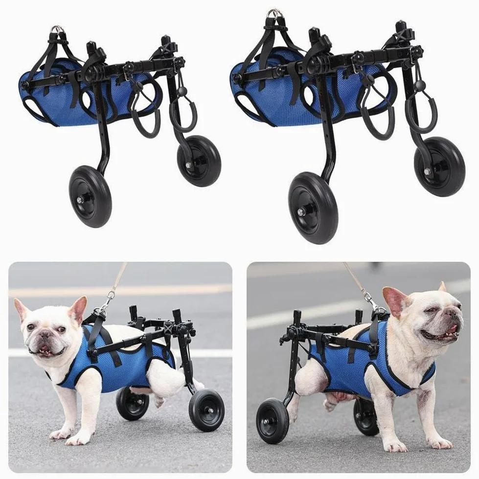 Ausili per la mobilità degli animali domestici regolabili con ruote Carrello di assistenza per la riabilitazione dei cani Veicolo di assistenza per la mobilità degli animali domestici per cani di