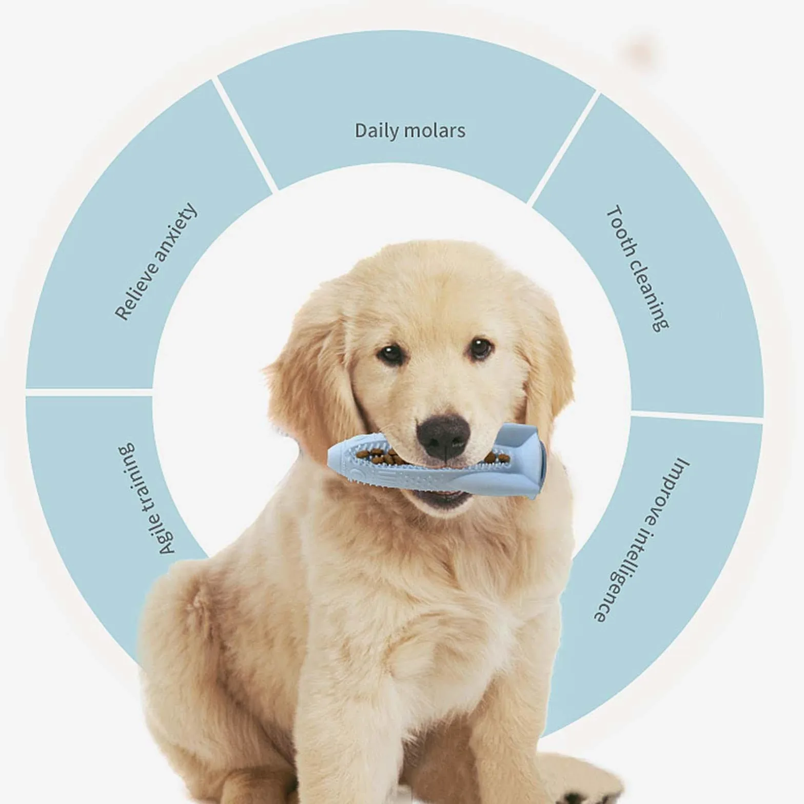 4 giocattoli da masticare in silicone per cuccioli, giocattolo 3 in 1 per la pulizia dei denti del cane, giocattolo interattivo per la pulizia dei denti, giocattoli da masticare per gattini, per