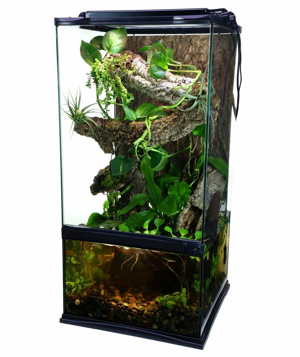 Zoo Med Paludarium - Paludario in vetro e metallo per la creazione di ambienti naturali per animali esotici, anfibi, rettili, dimensione 30x30x60 cm