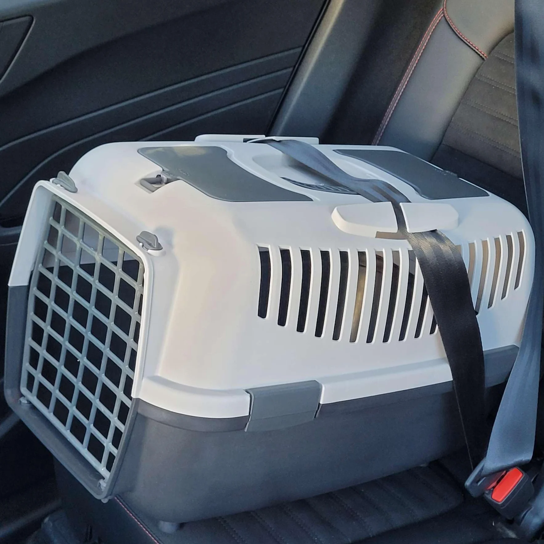 Trasportino per cani e gatti, grigio chiaro, grigio scuro, 58,5 x 37 x 38 cm