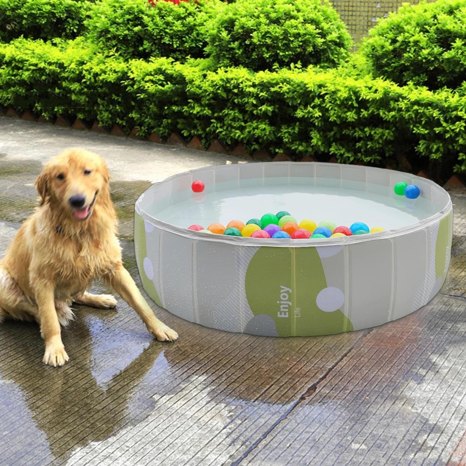 Piscina Per Cani Portatile Pieghevole In Pvc Rotonda | Piscina Da Cuccioli Per Adulti Bambini Bagno Esterno Interno Spiaggia Campeggio Giochi Terrazza